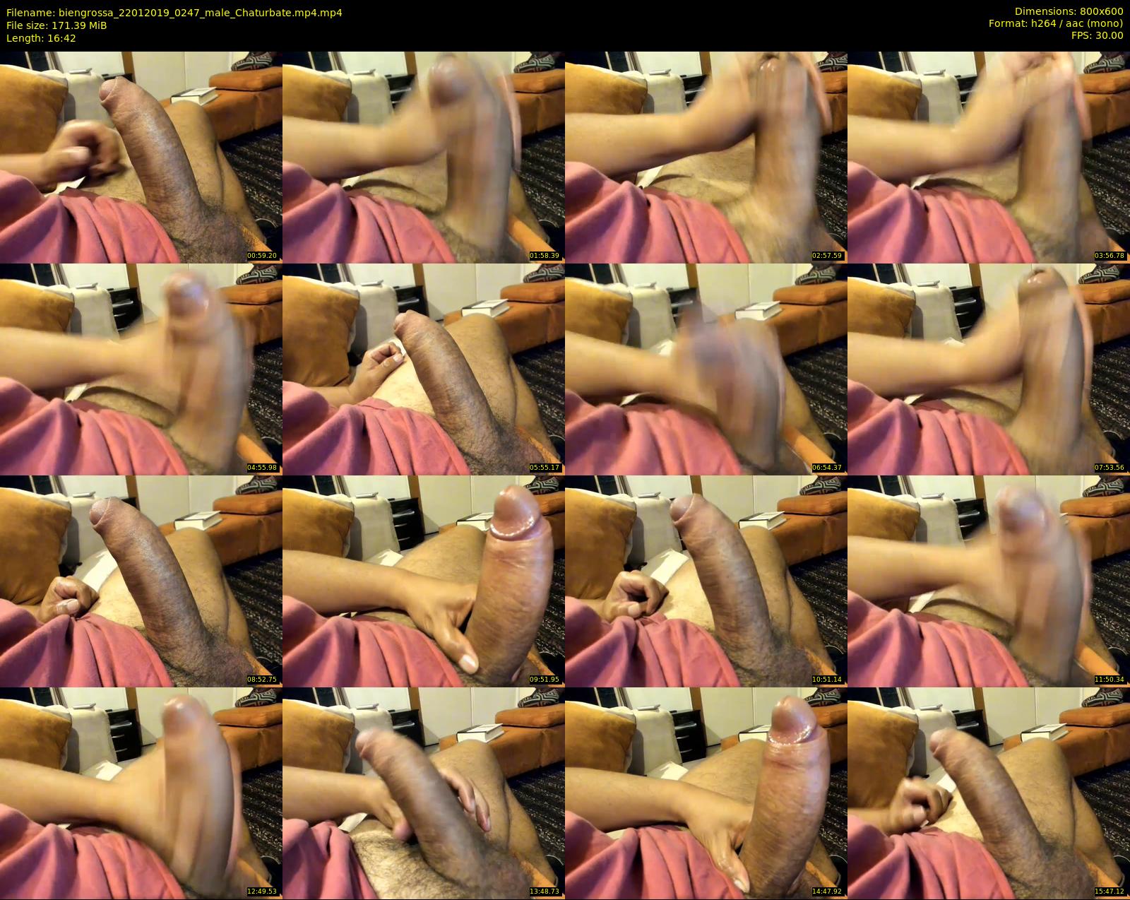 biengrossa — 17 minute Chaturbate male cam show recording, 480p, Jan 22, 2019