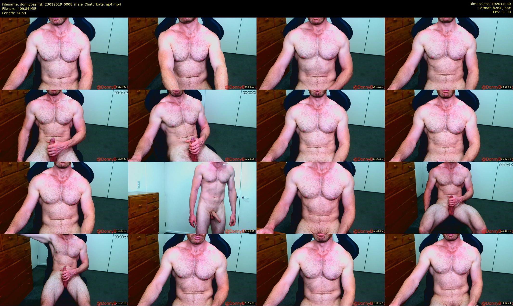 donnybasilisk — 35 minute Chaturbate male cam show recording, 1080p, Jan 23, 2019