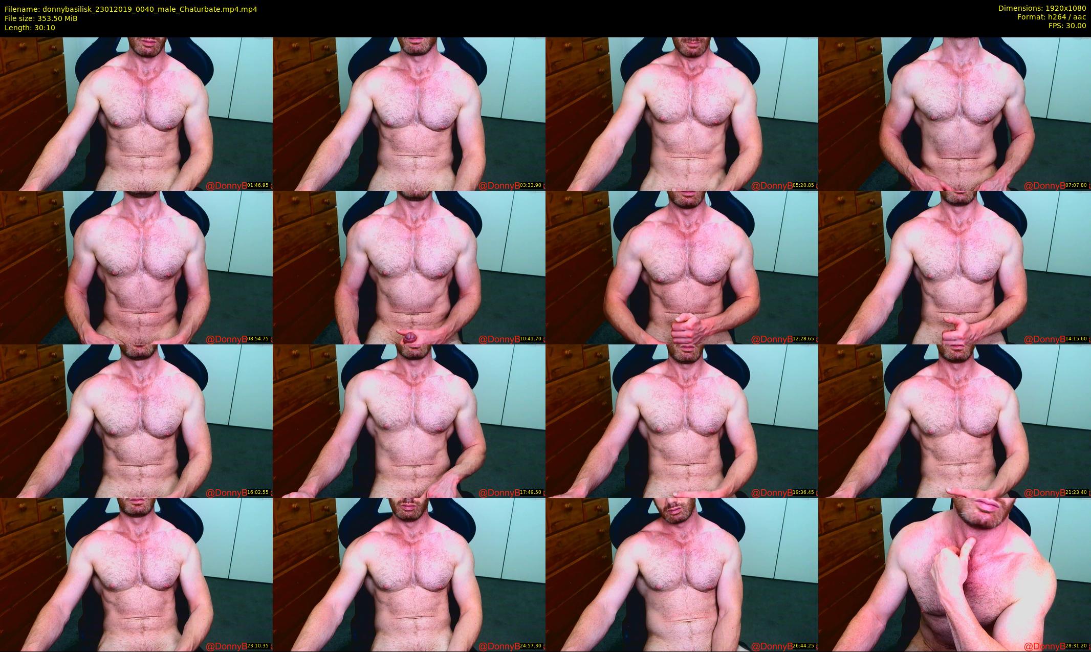 donnybasilisk — 31 minute Chaturbate male cam show recording, 1080p, Jan 23, 2019