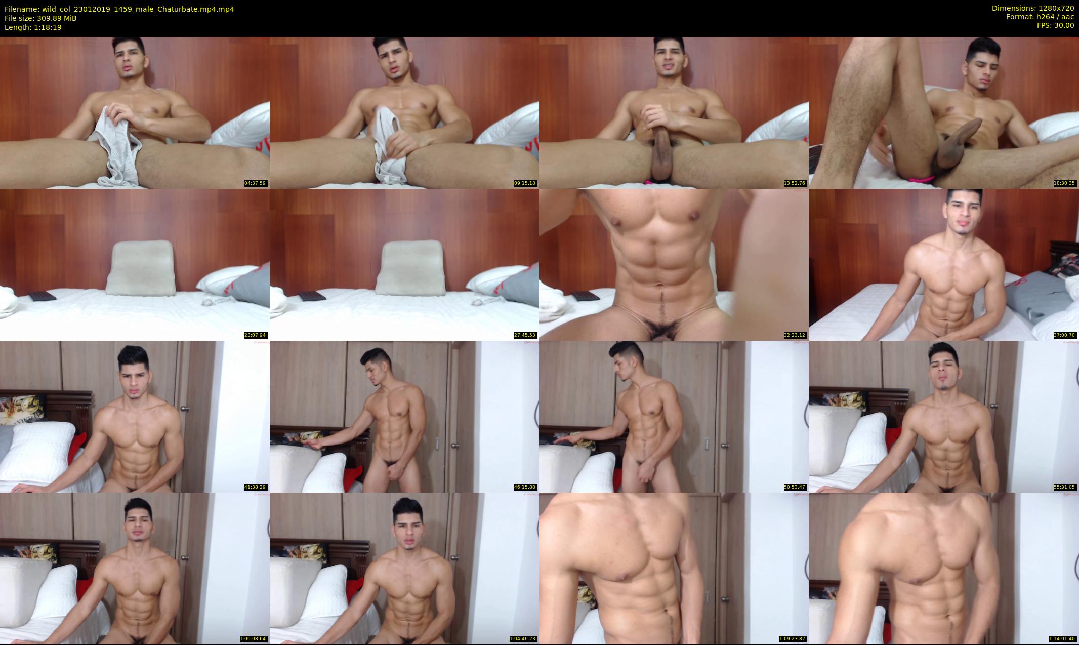 wild_col — 79 minute Chaturbate male cam show recording, 720p, Jan 23, 2019
