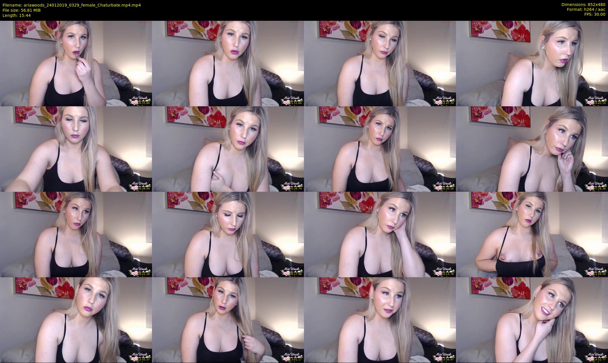 ariawoods — 16 minute Chaturbate female cam show recording, 480p, Jan 24, 2019