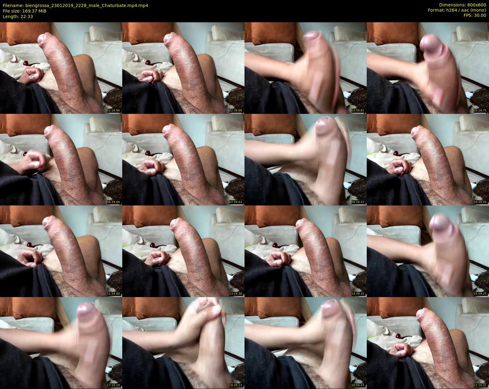 biengrossa — 23 minute Chaturbate male cam show recording, 480p, Jan 23, 2019