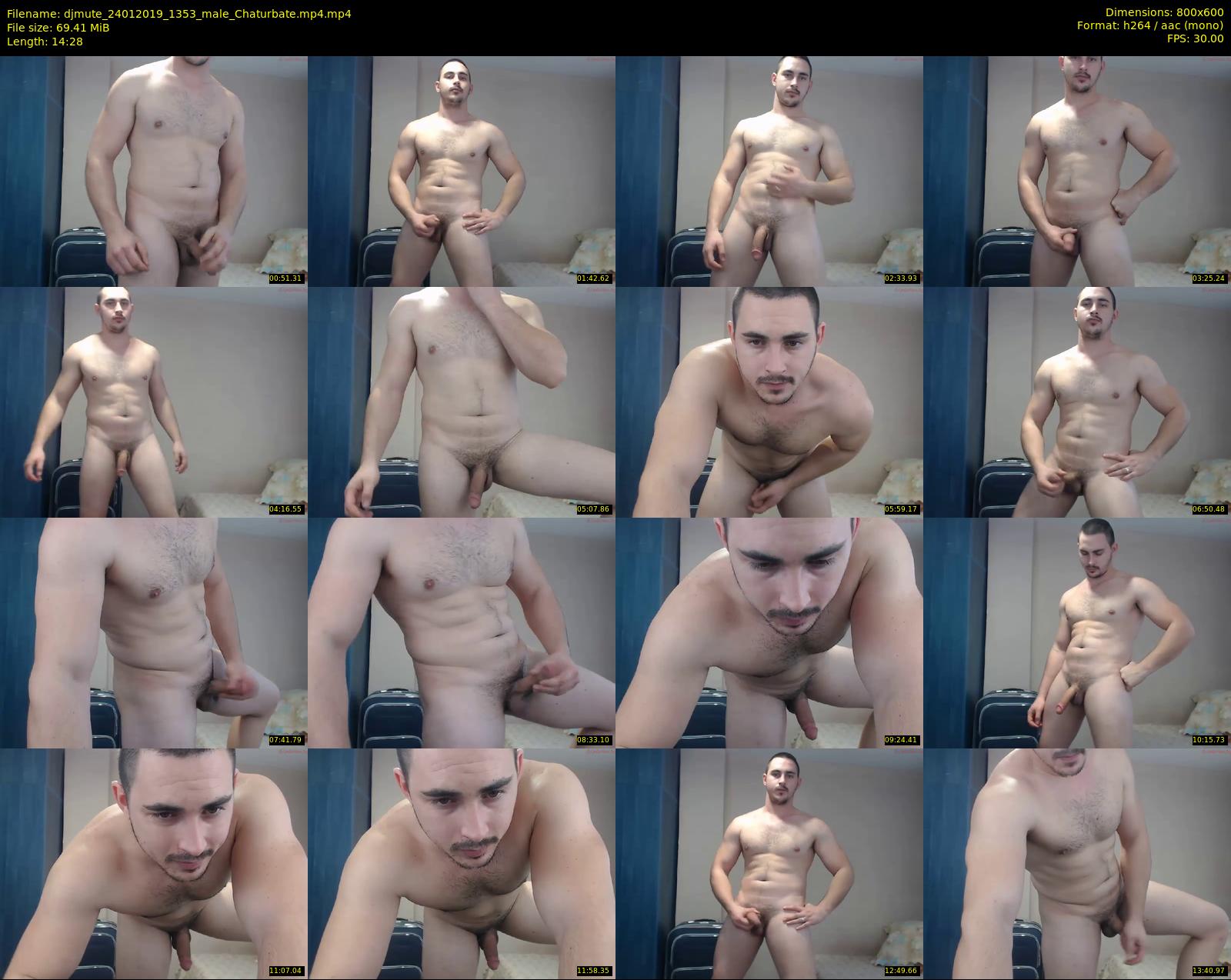 djmute — 15 minute Chaturbate male cam show recording, 480p, Jan 24, 2019