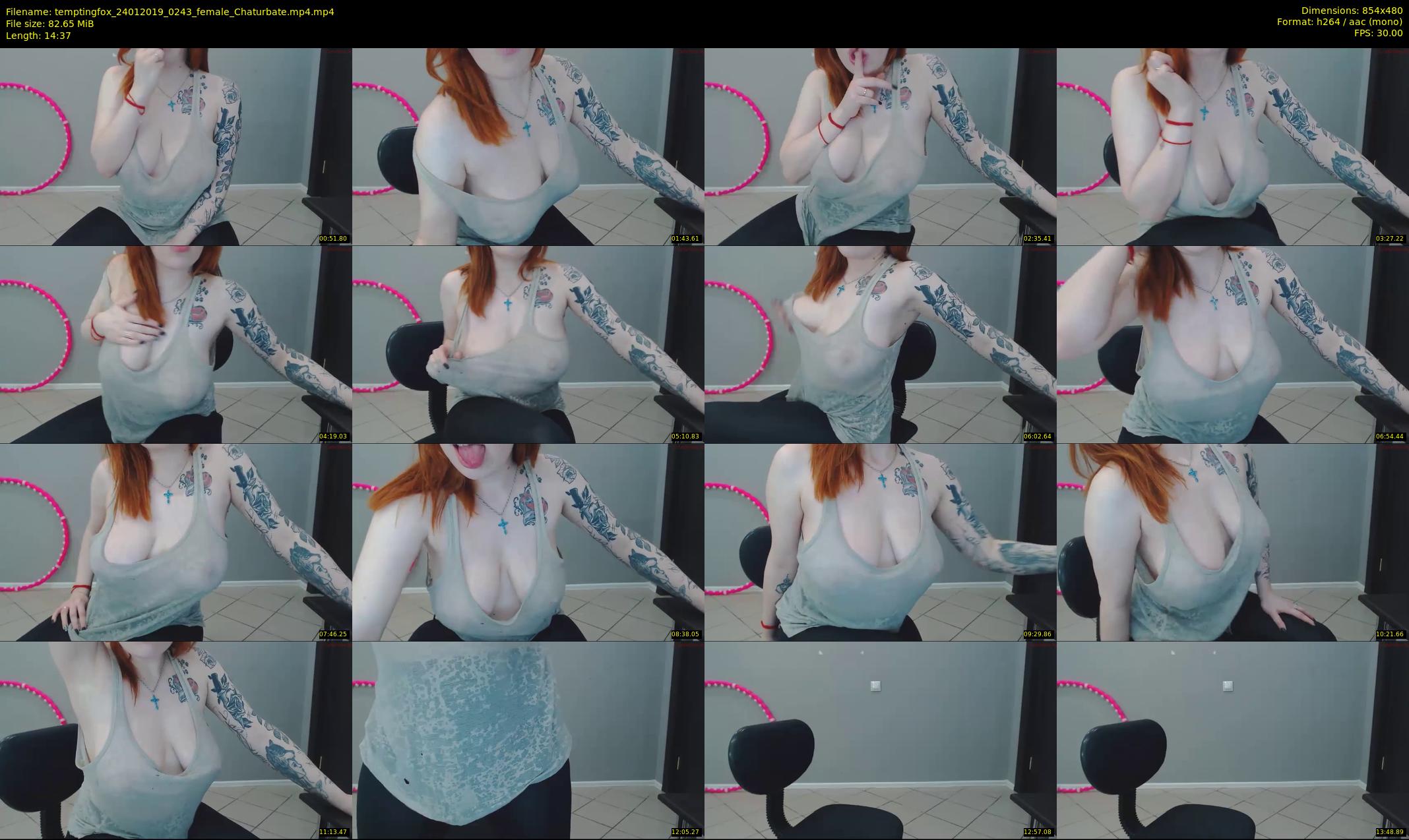 temptingfox — 15 minute Chaturbate female cam show recording, 480p, Jan 24, 2019