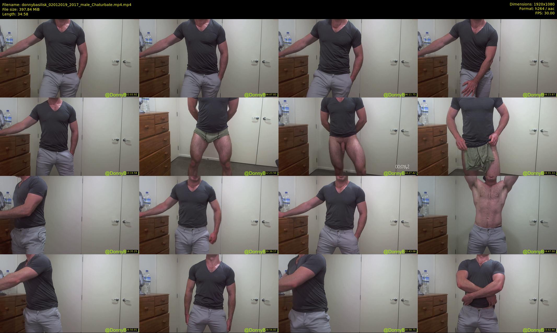 donnybasilisk — 35 minute Chaturbate male cam show recording, 1080p, Jan 2, 2019