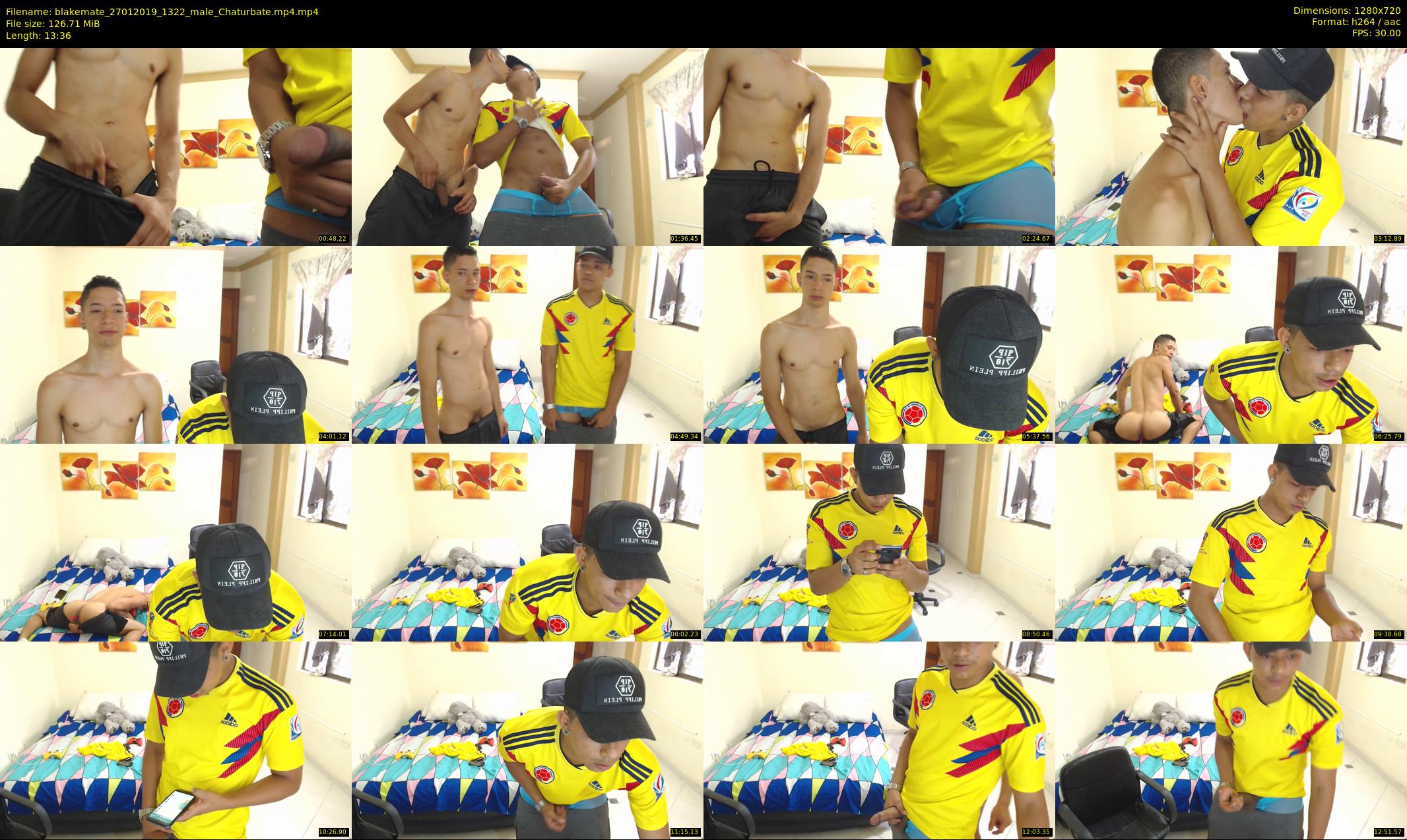 blakemate — 14 minute Chaturbate male cam show recording, 720p, Jan 27, 2019