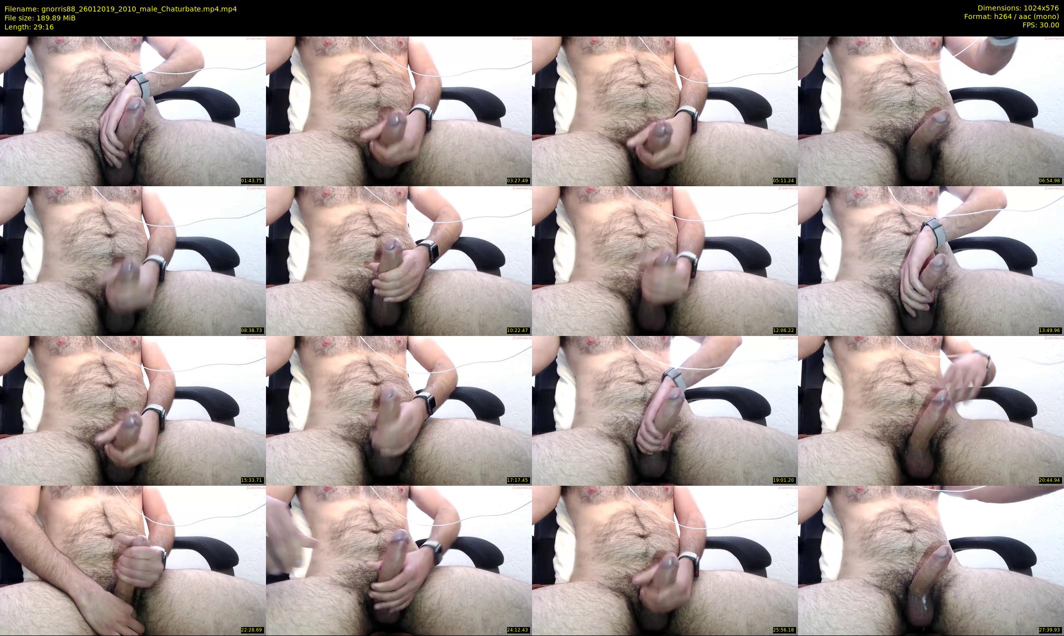 gnorris88 — 30 minute Chaturbate male cam show recording, 480p, Jan 26, 2019