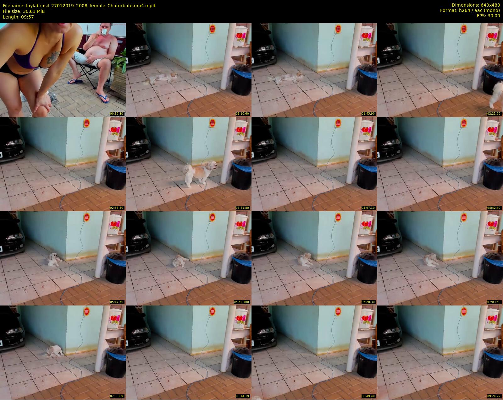 laylabrasil — 10 minute Chaturbate female cam show recording, 480p, Jan 27, 2019