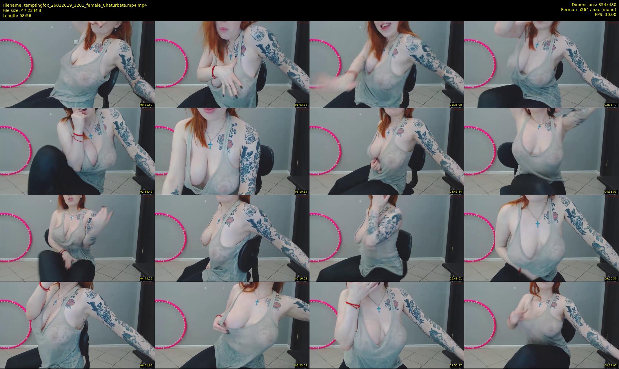 temptingfox — 9 minute Chaturbate female cam show recording, 480p, Jan 26, 2019