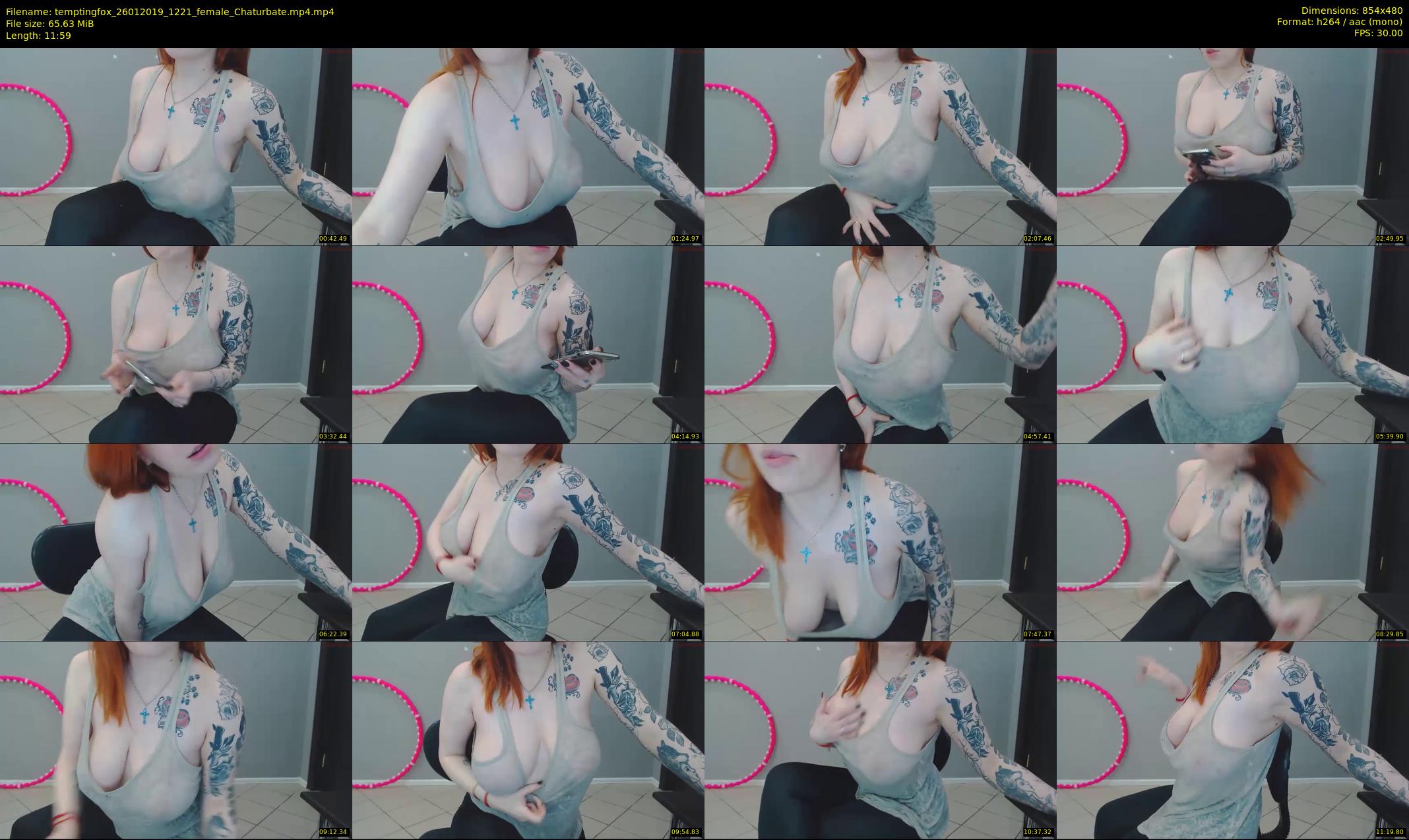 temptingfox — 12 minute Chaturbate female cam show recording, 480p, Jan 26, 2019