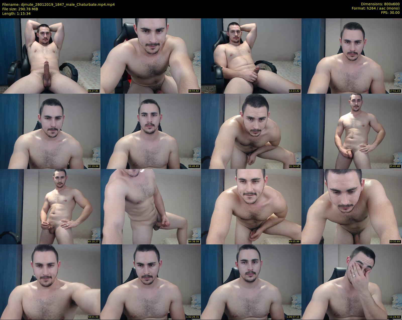 djmute — 76 minute Chaturbate male cam show recording, 480p, Jan 28, 2019