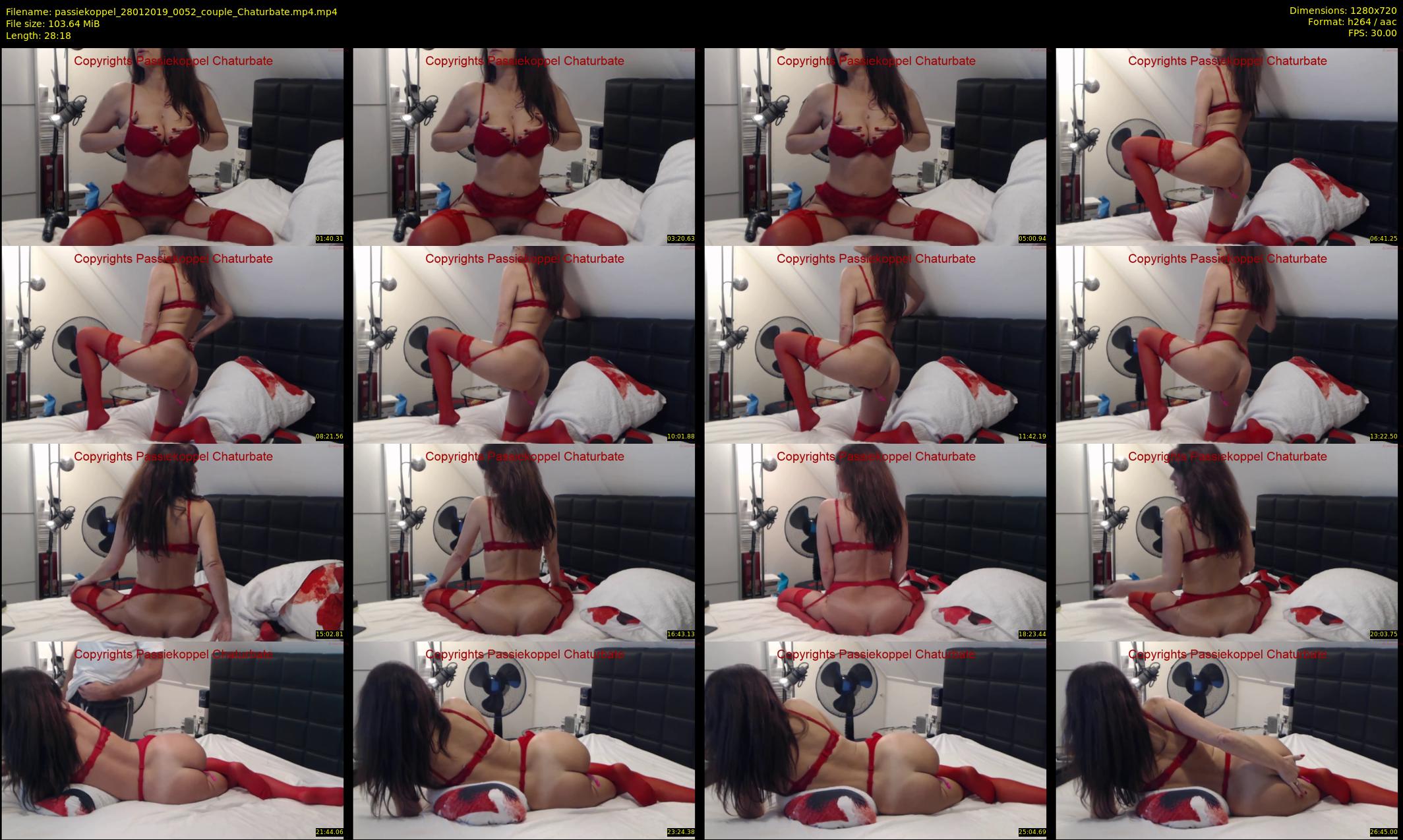 passiekoppel — 29 minute Chaturbate couple cam show recording, 720p, Jan 28, 2019