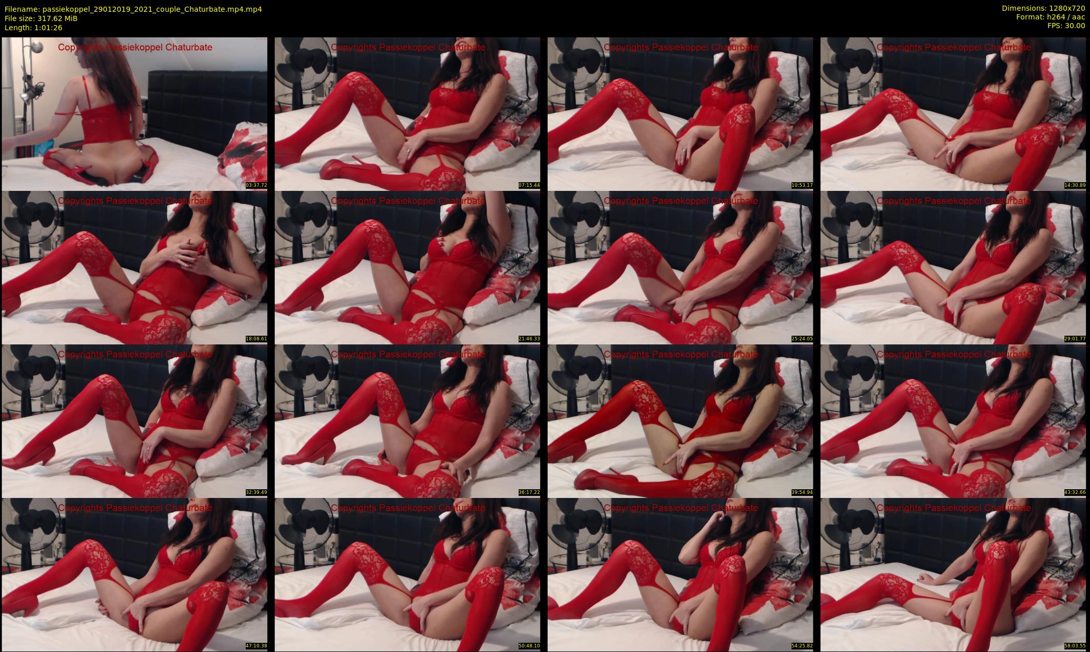 passiekoppel — 62 minute Chaturbate couple cam show recording, 720p, Jan 29, 2019