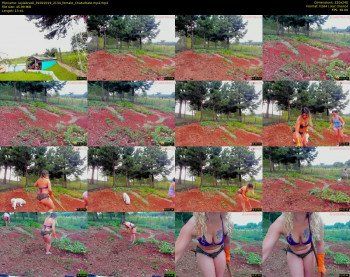 laylabrasil — 14 minute Chaturbate female cam show recording, SD, Feb 1, 2019