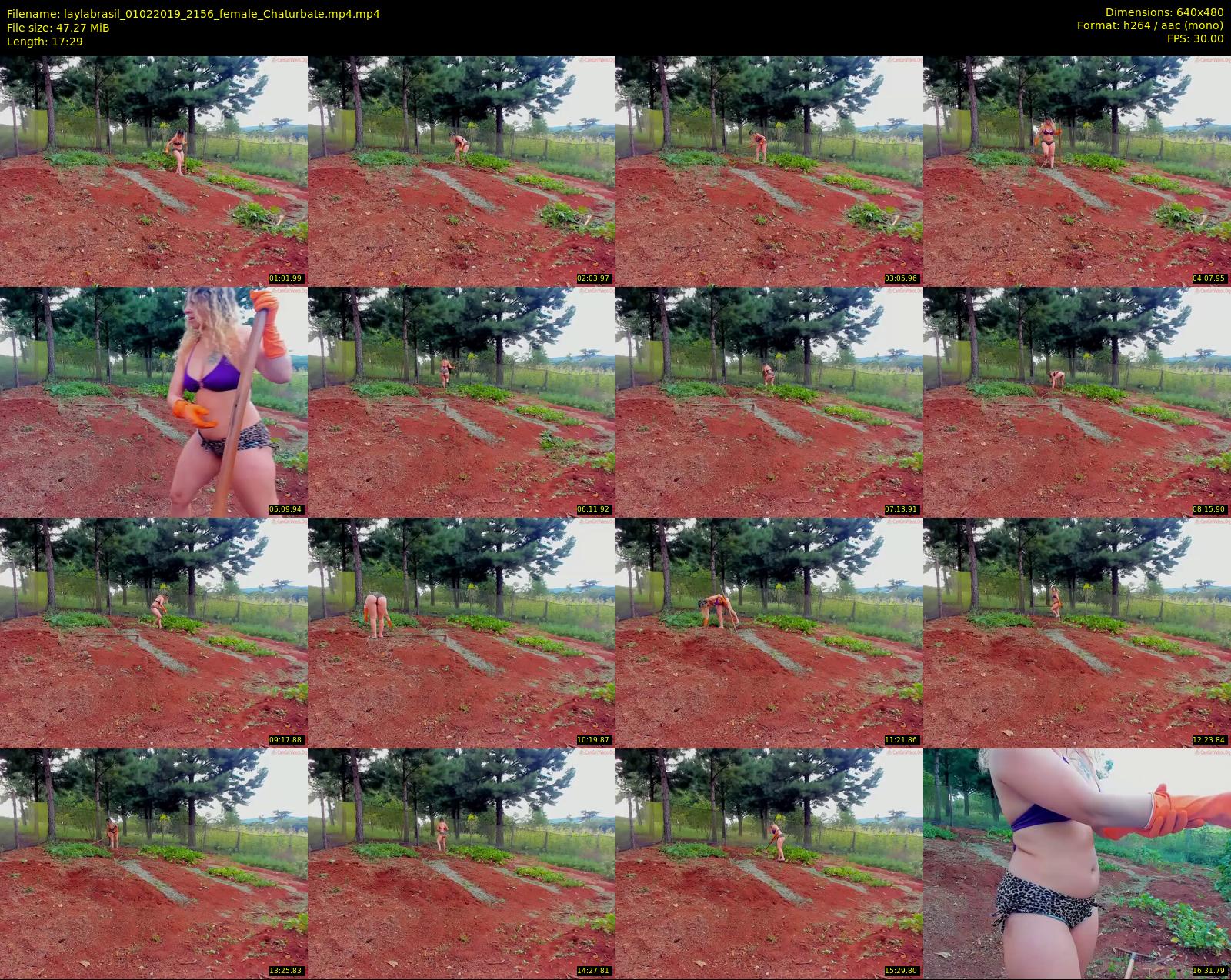 laylabrasil — 18 minute Chaturbate female cam show recording, 480p, Feb 1, 2019