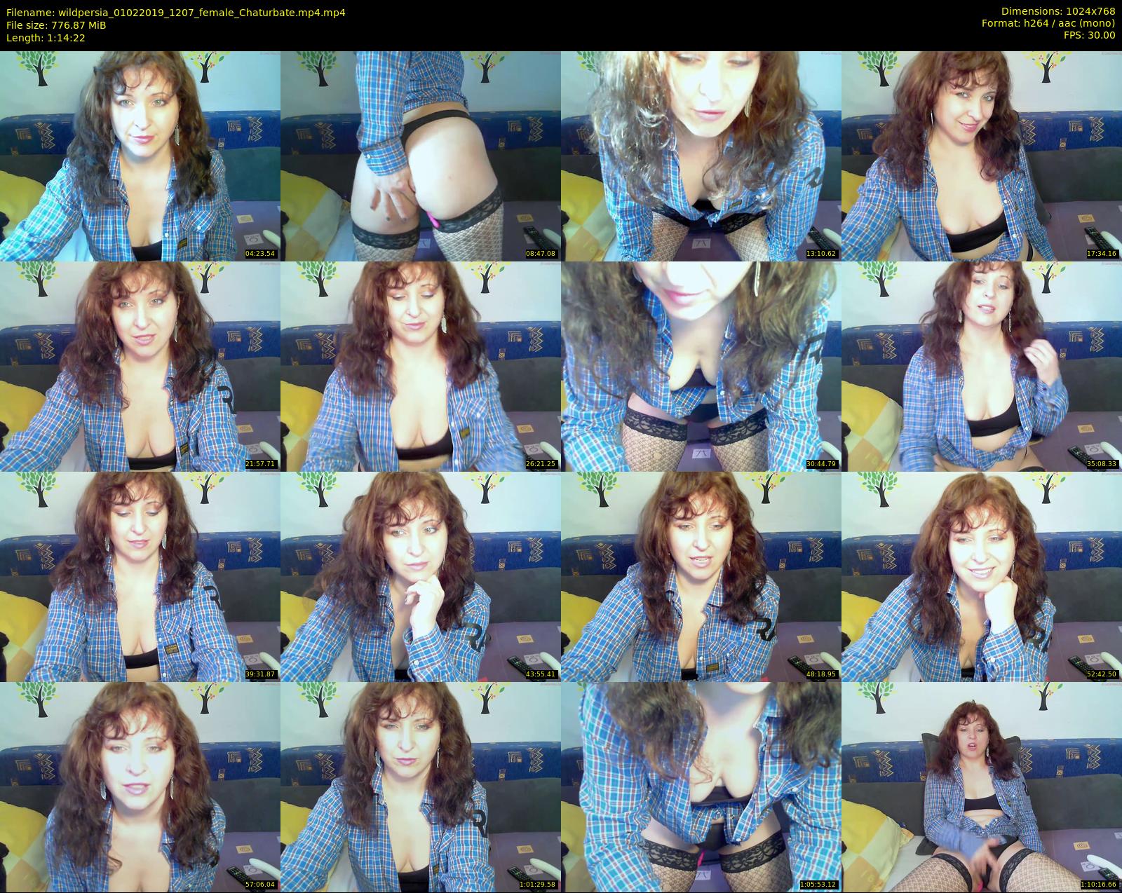 wildpersia — 75 minute Chaturbate female cam show recording, 720p, Feb 1, 2019