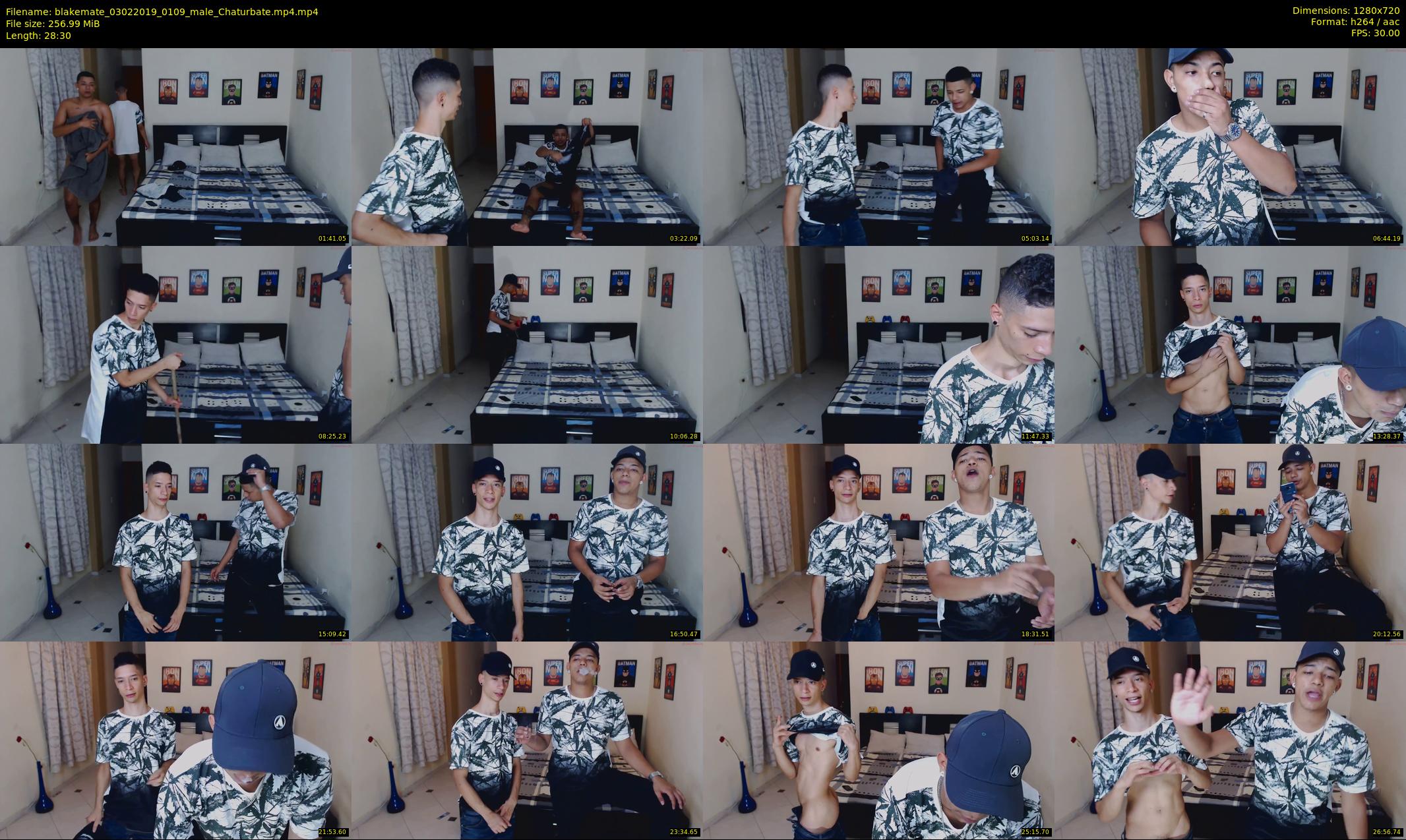 blakemate — 29 minute Chaturbate male cam show recording, 720p, Feb 3, 2019