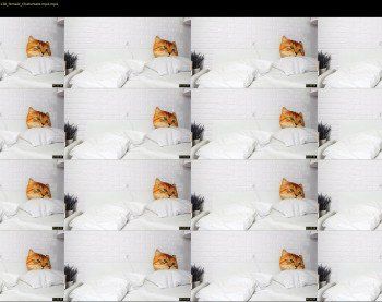 kalisa_pearl — 10 minute Chaturbate female cam show recording, 720p, Feb 2, 2019
