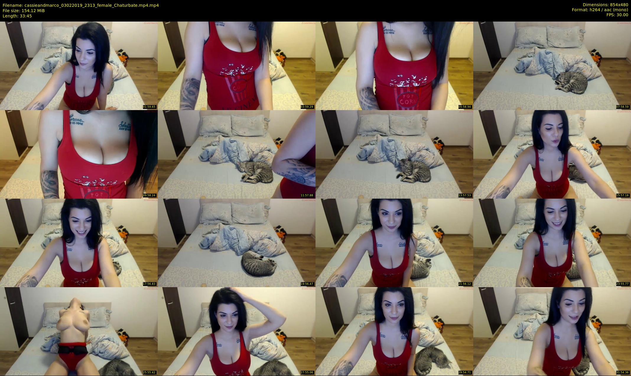 cassieandmarco — 34 minute Chaturbate female cam show recording, 480p, Feb 3, 2019