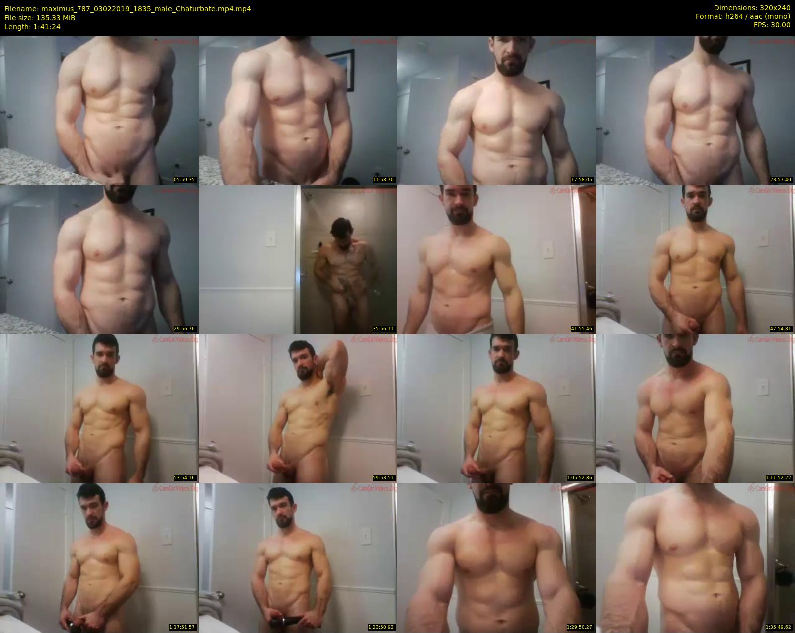 maximus_787 — 102 minute Chaturbate male cam show recording, SD, Feb 3, 2019