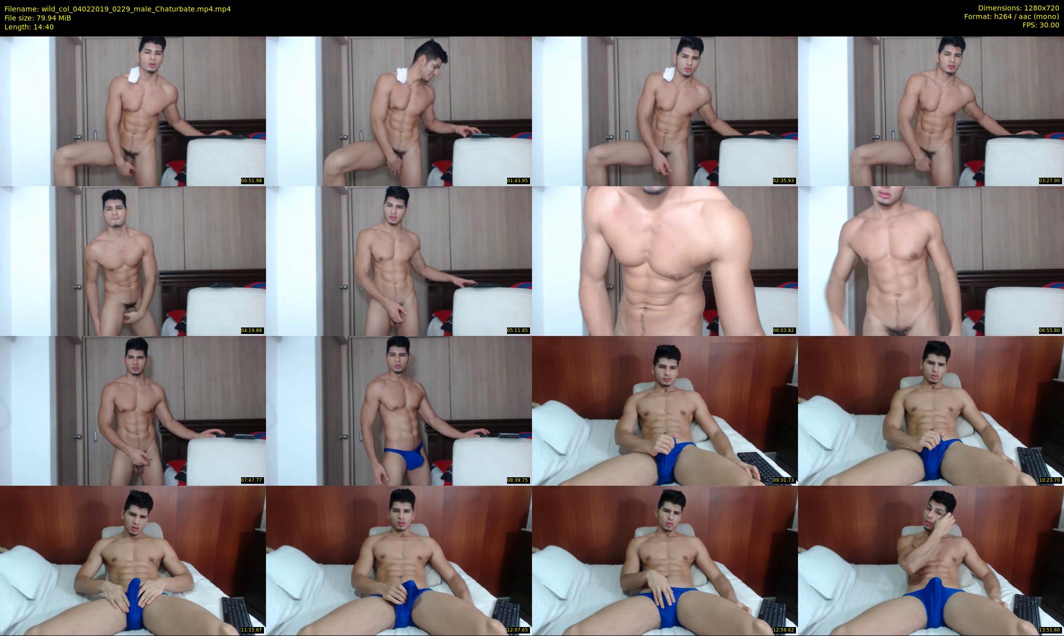 wild_col — 15 minute Chaturbate male cam show recording, 720p, Feb 4, 2019