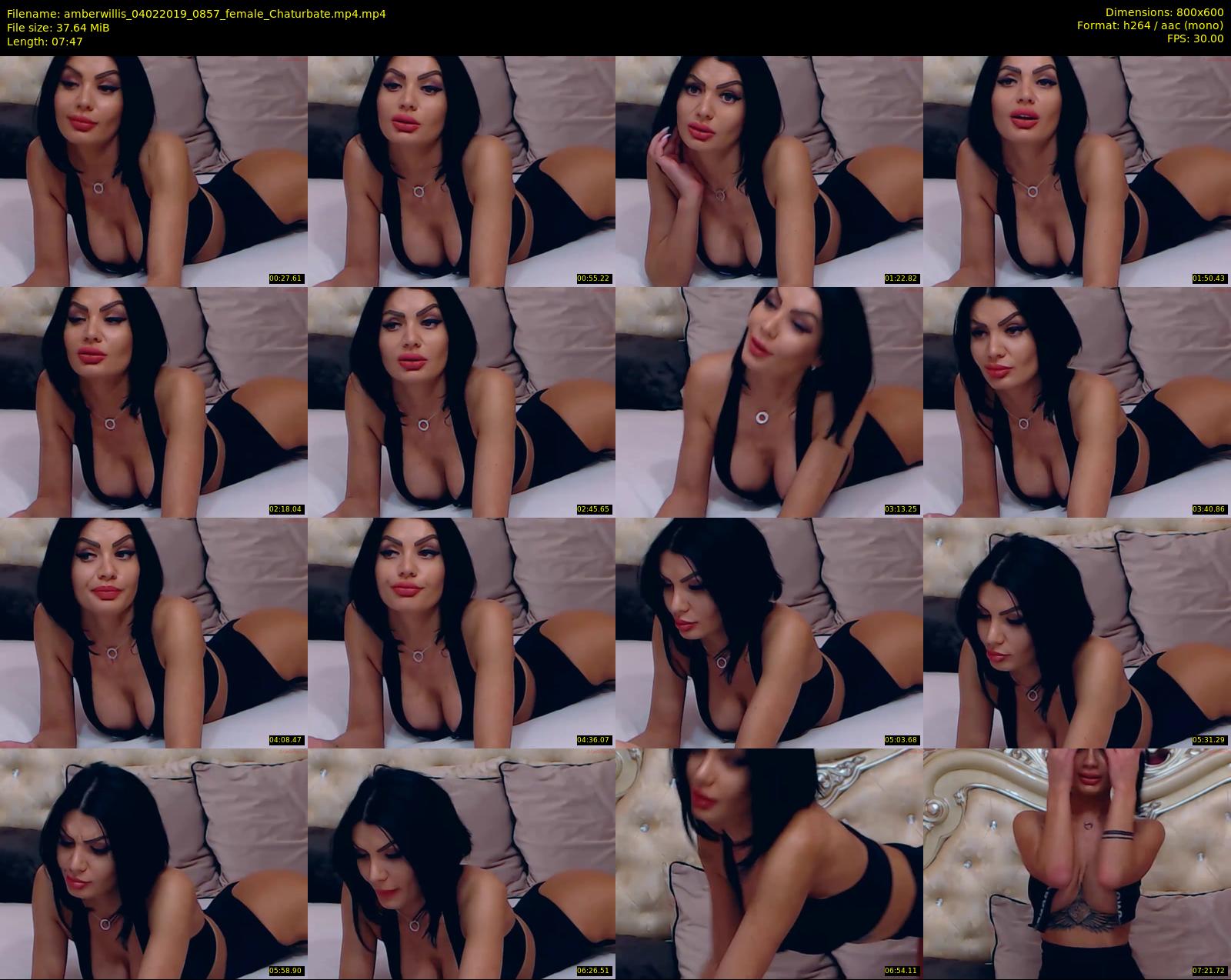 amberwillis — 8 minute Chaturbate female cam show recording, 480p, Feb 4, 2019