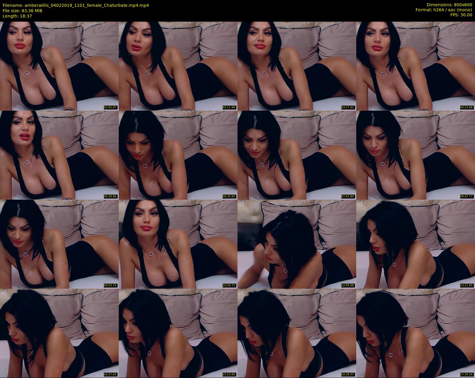 amberwillis — 19 minute Chaturbate female cam show recording, 480p, Feb 4, 2019