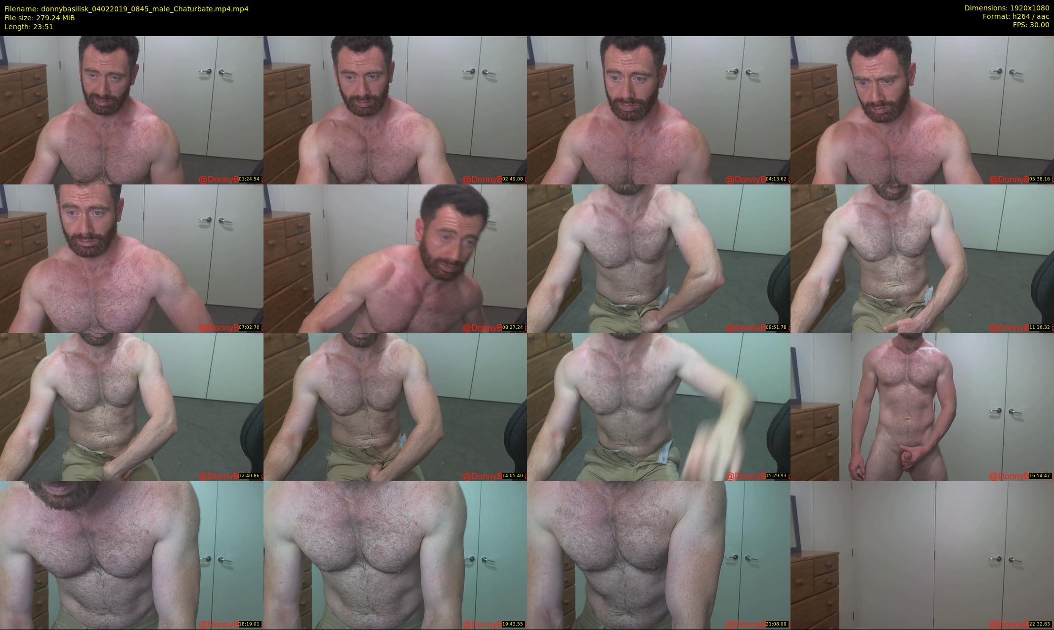donnybasilisk — 24 minute Chaturbate male cam show recording, 1080p, Feb 4, 2019