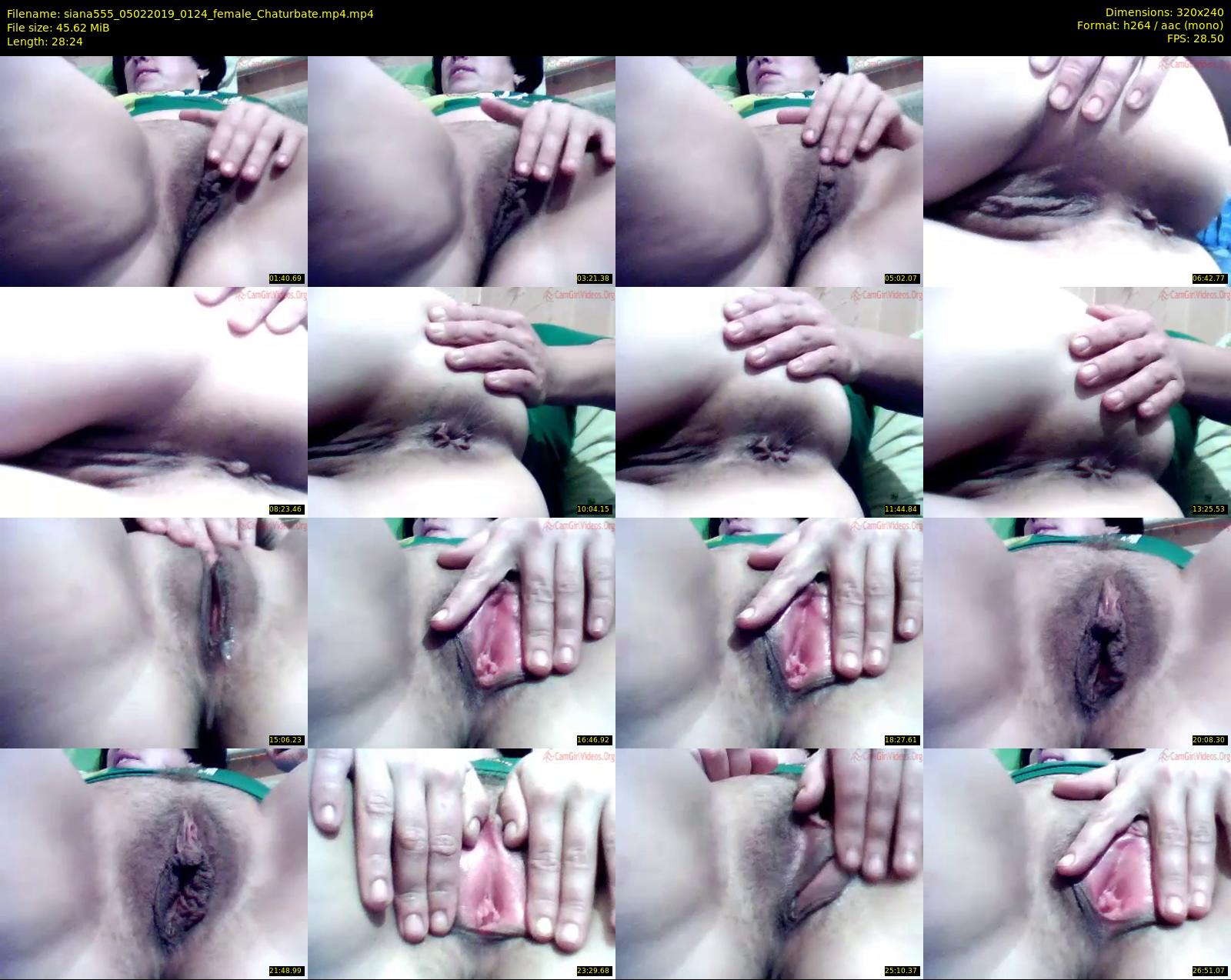 siana555 — 29 minute Chaturbate female cam show recording, SD, Feb 5, 2019