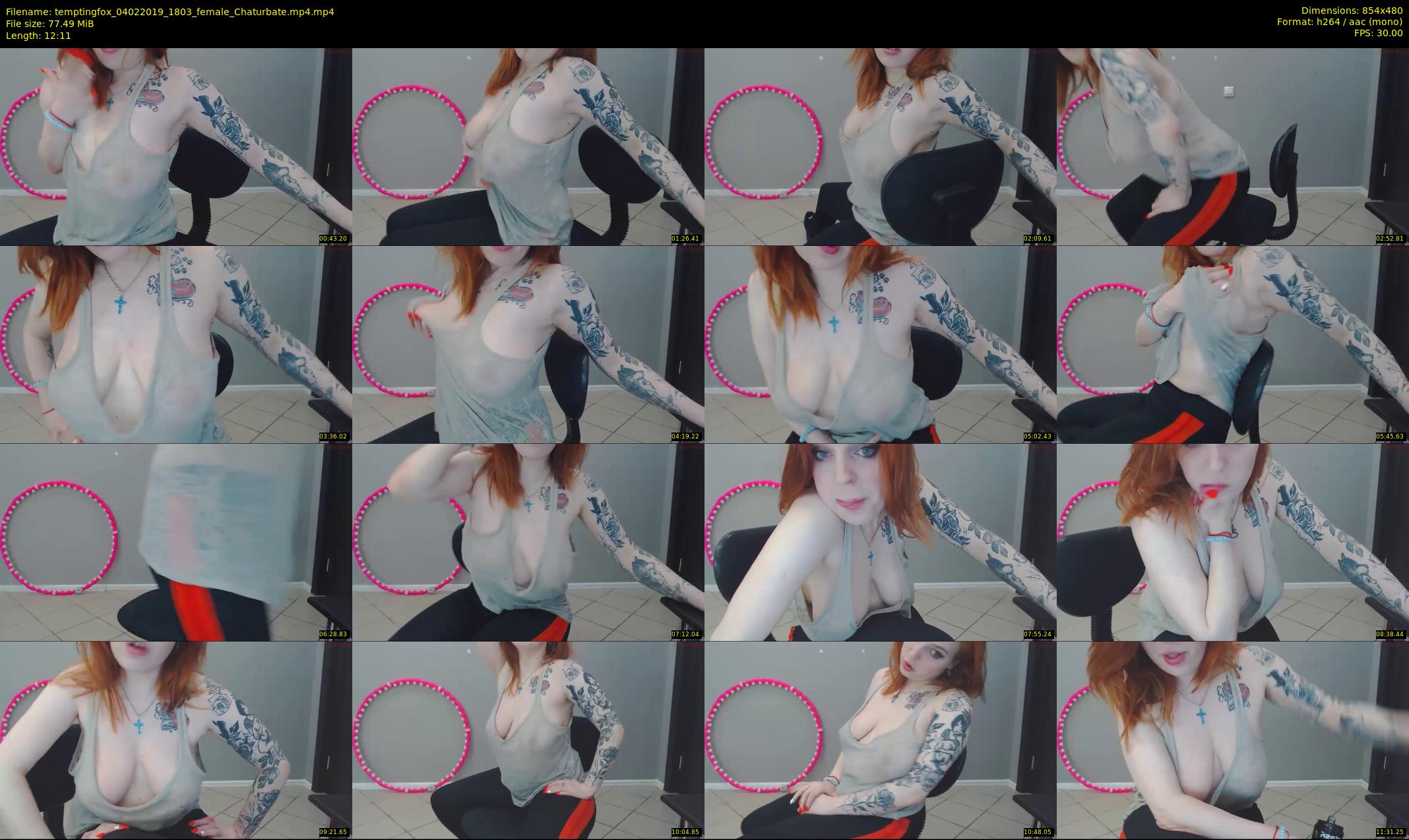 temptingfox — 13 minute Chaturbate female cam show recording, 480p, Feb 4, 2019