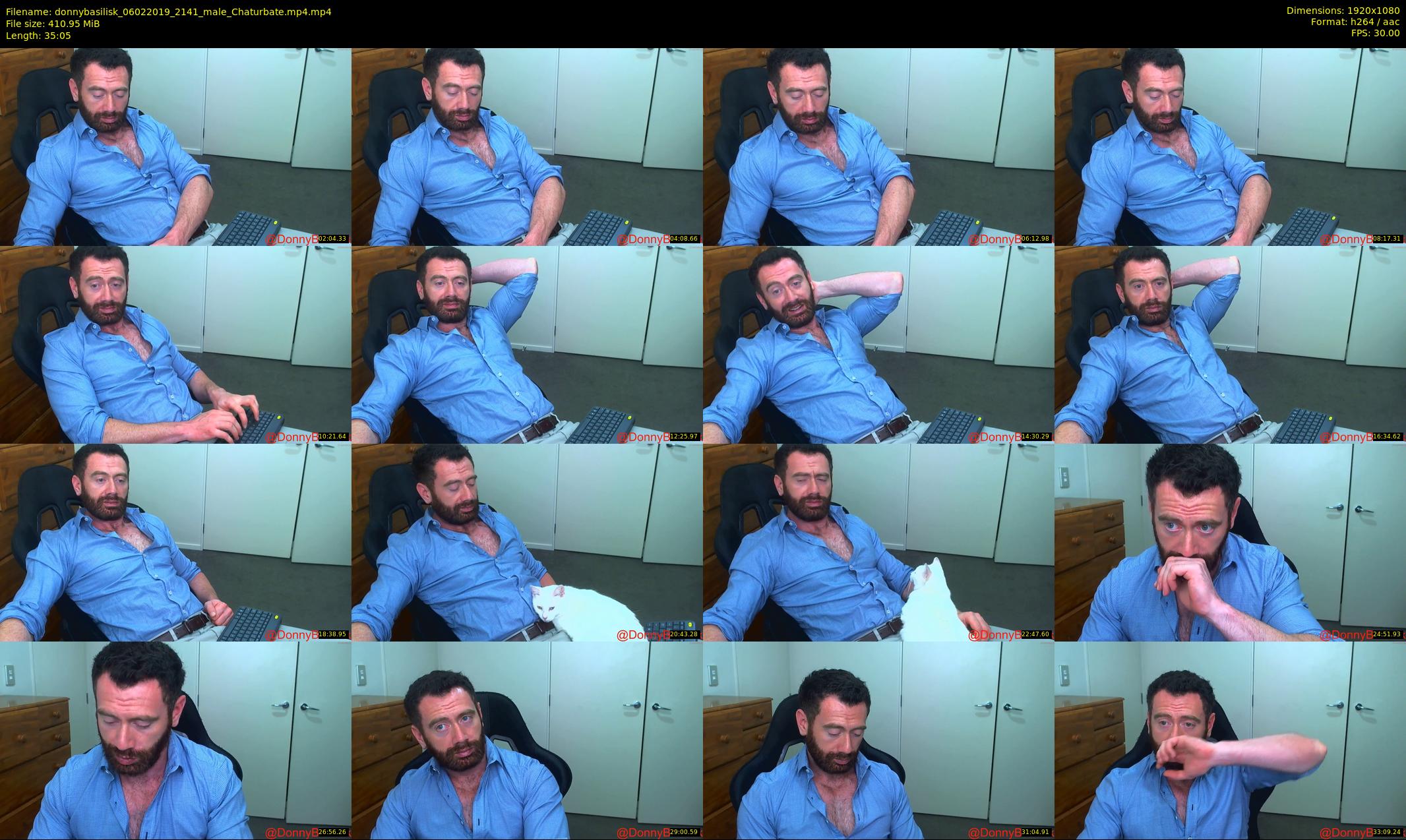 donnybasilisk — 36 minute Chaturbate male cam show recording, 1080p, Feb 6, 2019