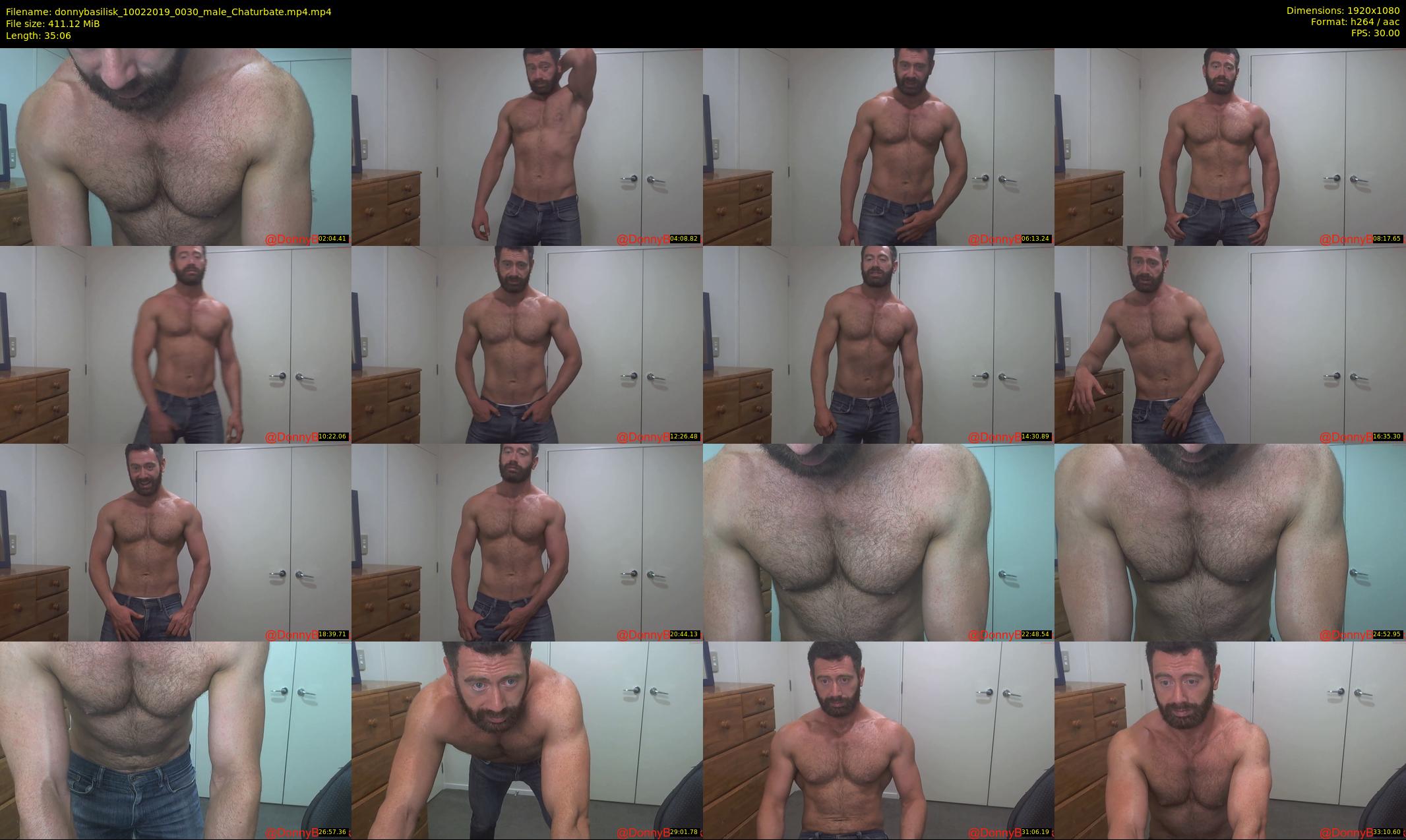 donnybasilisk — 36 minute Chaturbate male cam show recording, 1080p, Feb 10, 2019