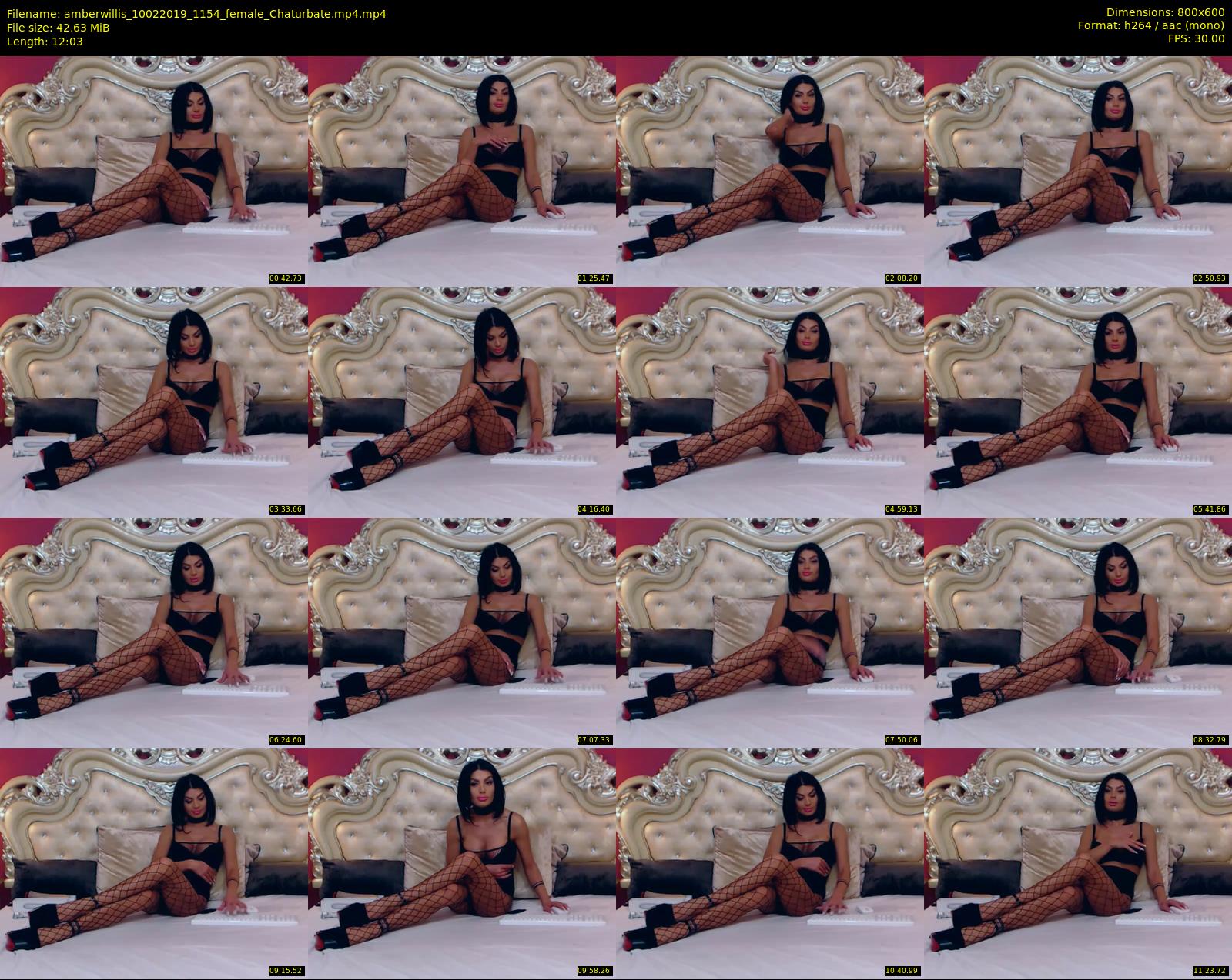 amberwillis — 13 minute Chaturbate female cam show recording, 480p, Feb 10, 2019