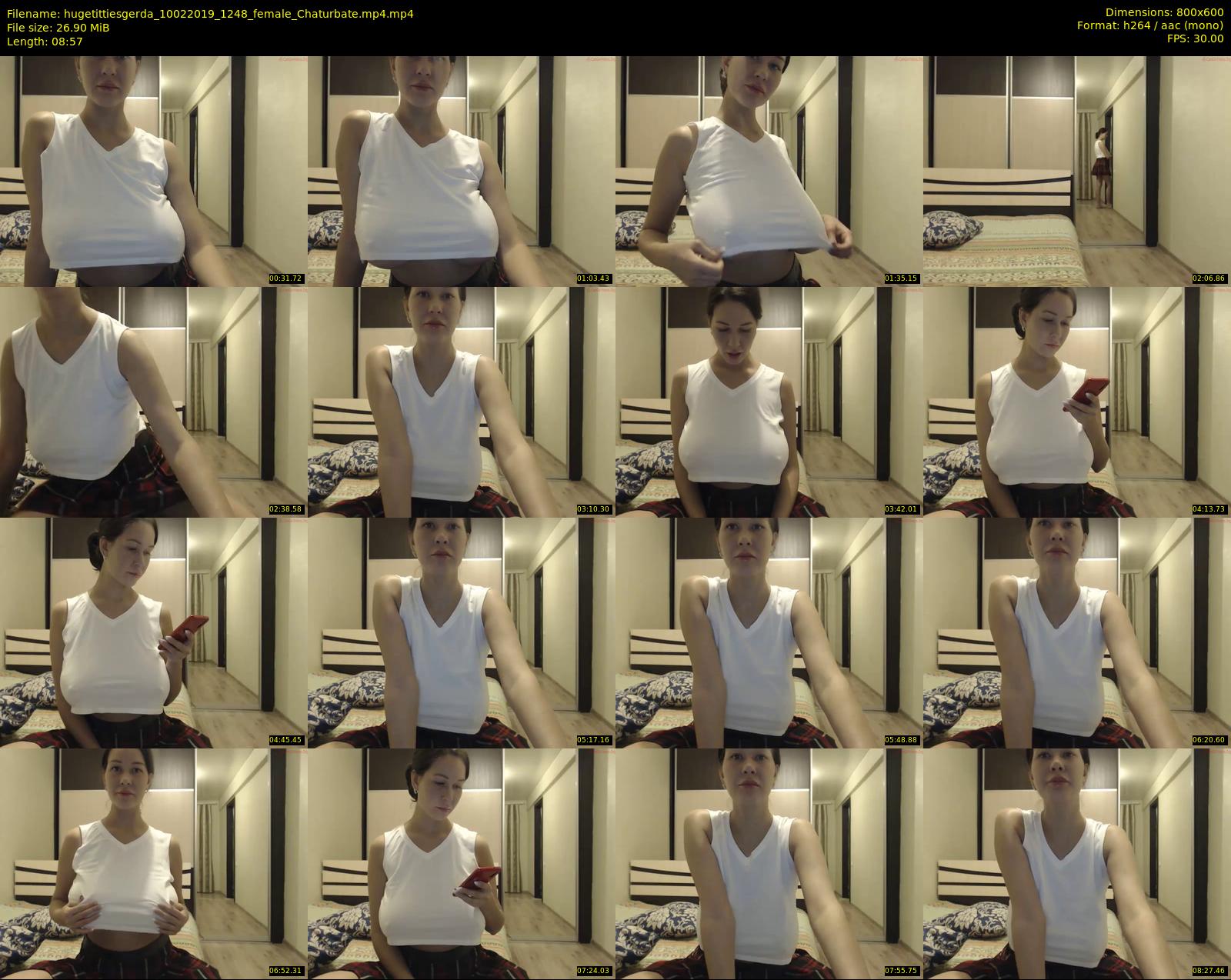 hugetittiesgerda — 9 minute Chaturbate female cam show recording, 480p, Feb 10, 2019