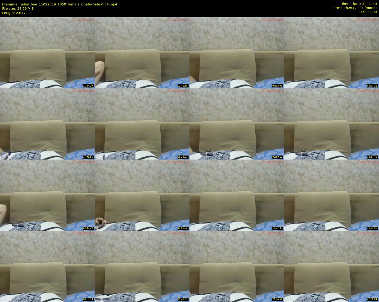 helen_bee — 24 minute Chaturbate female cam show recording, SD, Feb 11, 2019