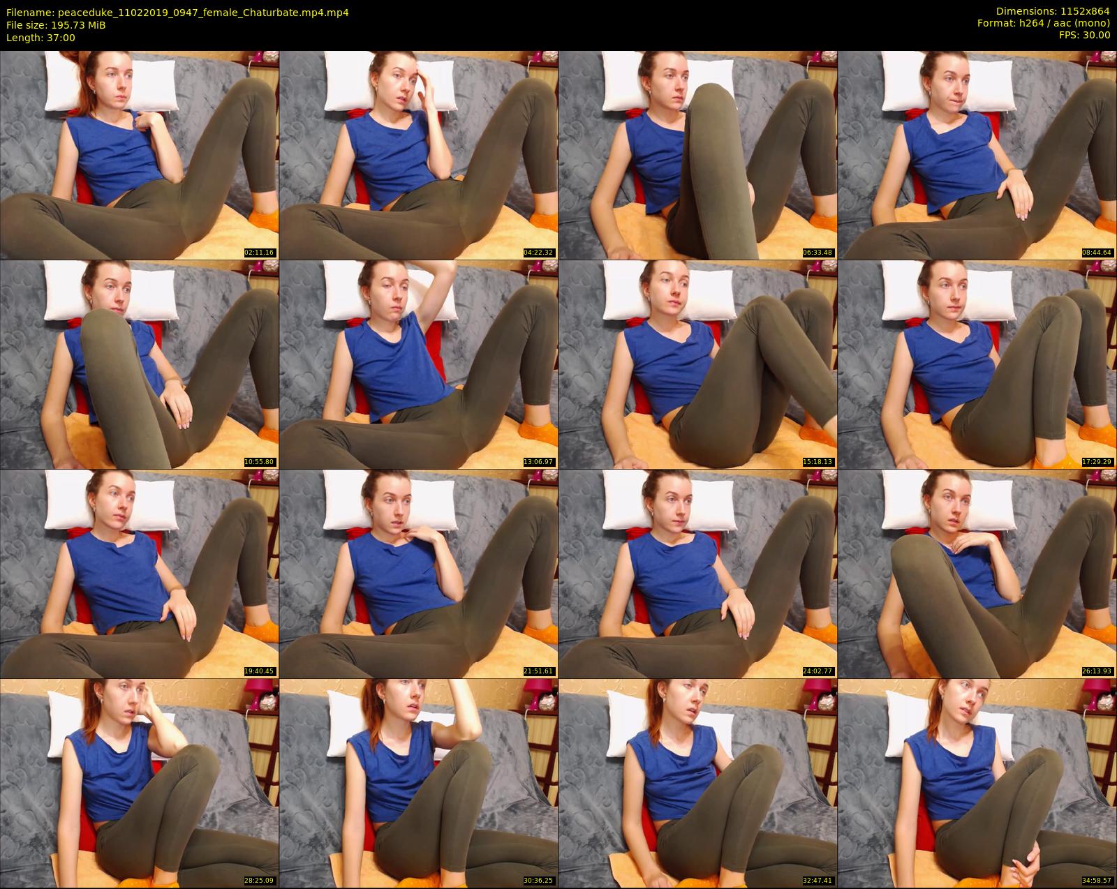 peaceduke — 37 minute Chaturbate female cam show recording, 720p, Feb 11, 2019