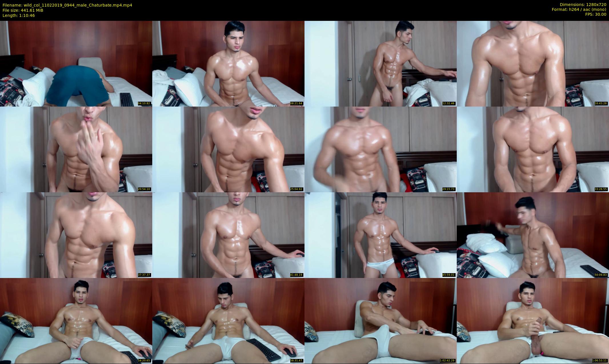 wild_col — 71 minute Chaturbate male cam show recording, 720p, Feb 11, 2019