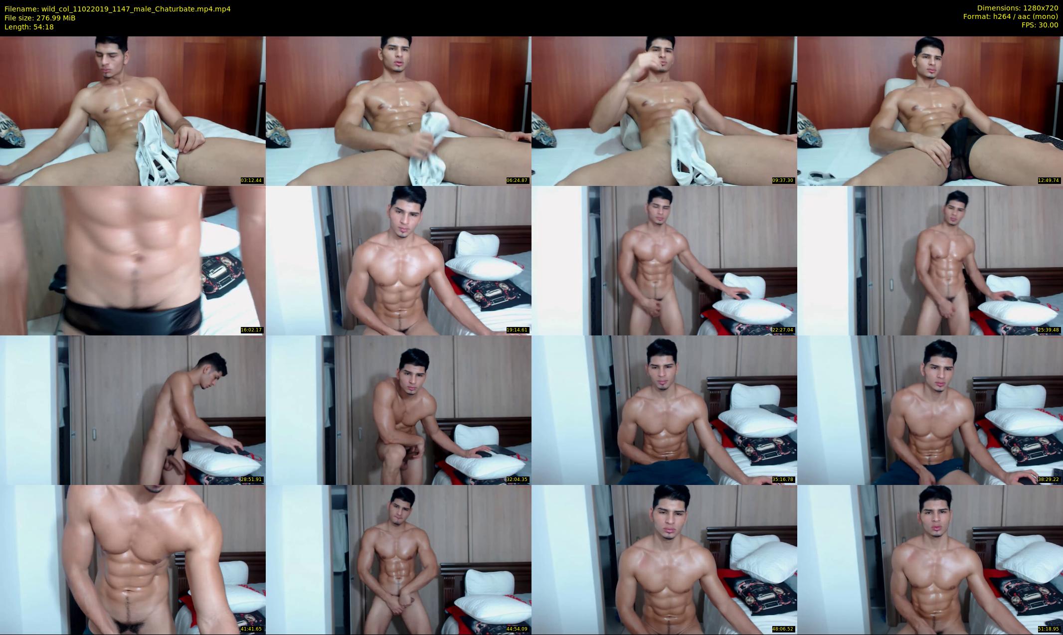 wild_col — 55 minute Chaturbate male cam show recording, 720p, Feb 11, 2019