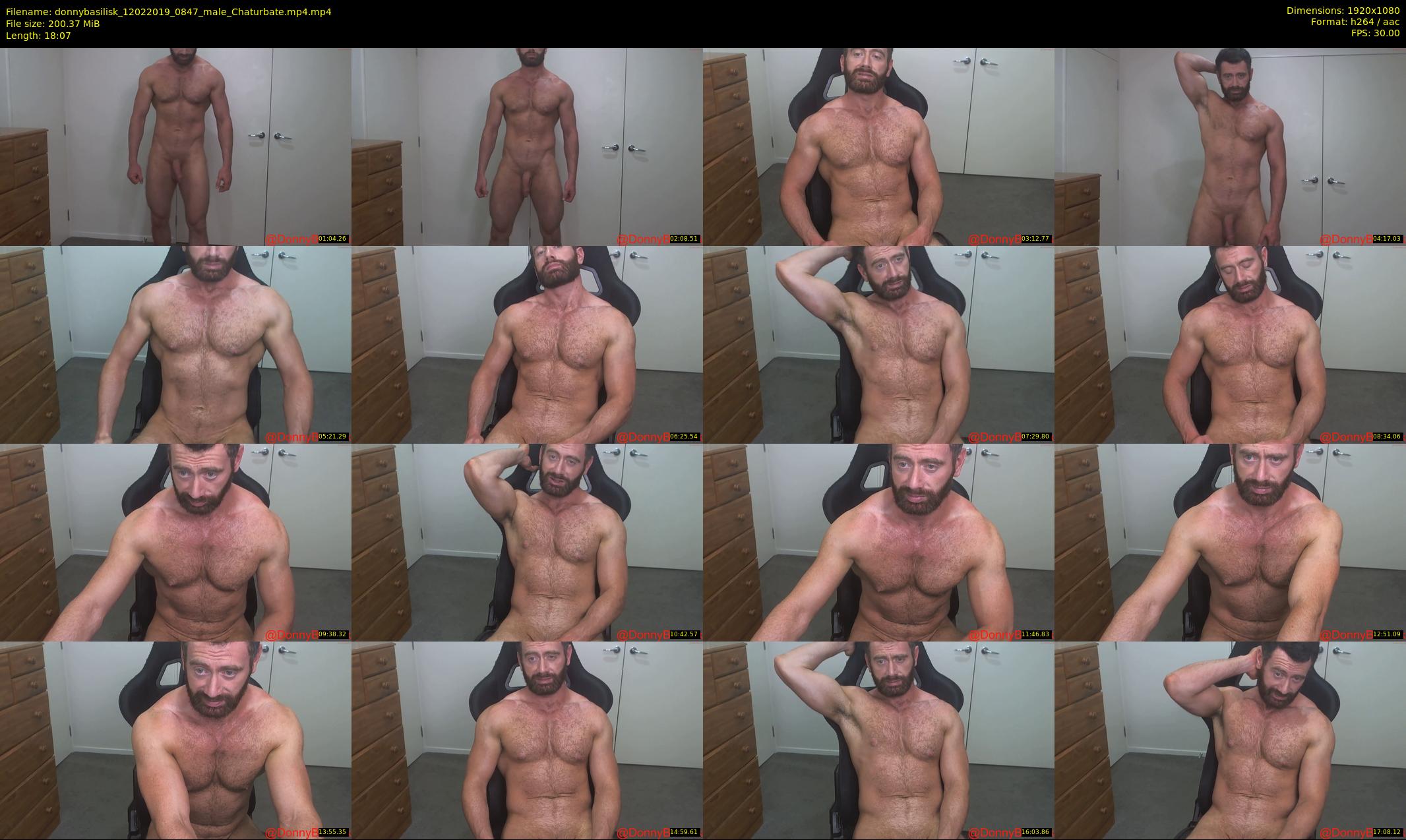 donnybasilisk — 19 minute Chaturbate male cam show recording, 1080p, Feb 12, 2019