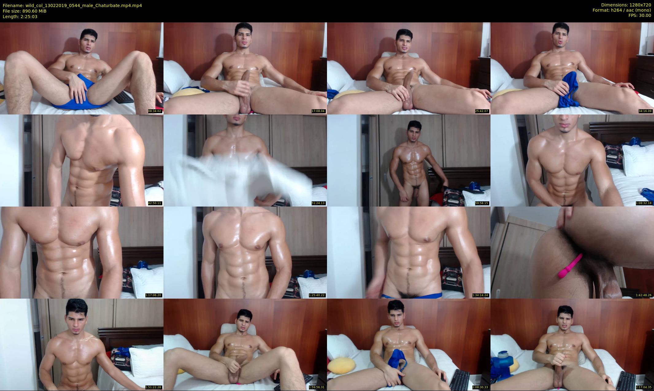 wild_col — 146 minute Chaturbate male cam show recording, 720p, Feb 13, 2019
