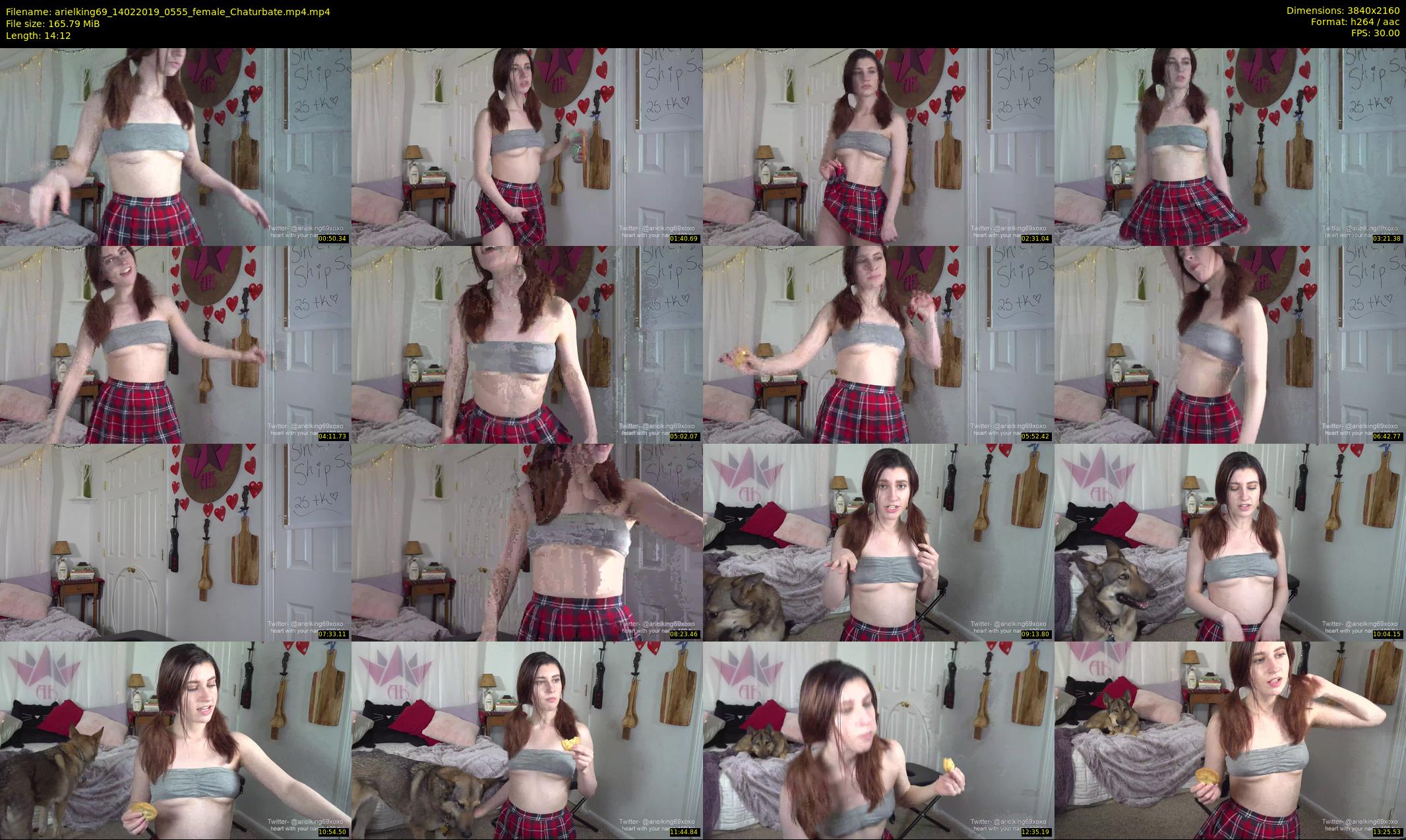 arielking69 — 15 minute Chaturbate female cam show recording, 4K, Feb 14, 2019