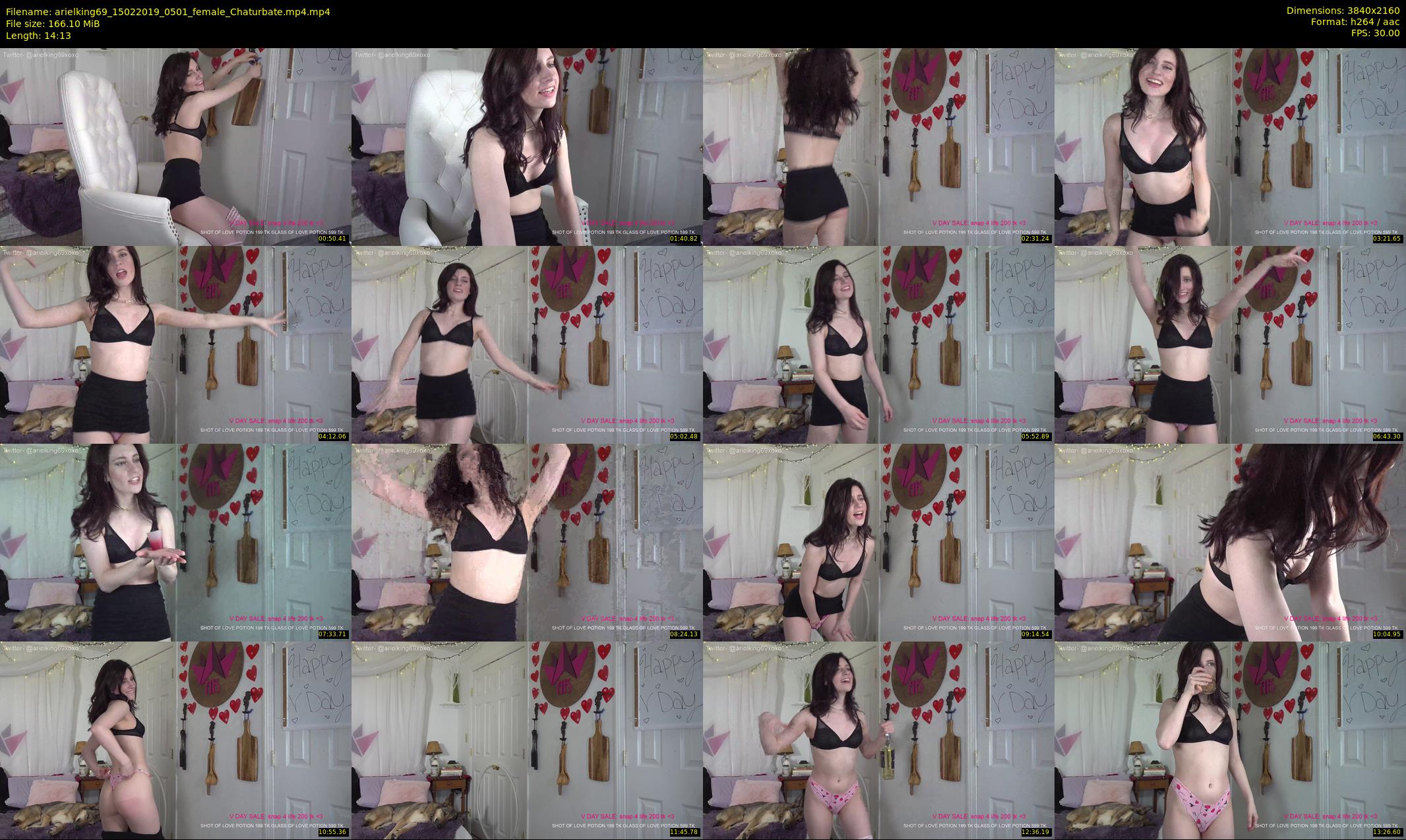 arielking69 — 15 minute Chaturbate female cam show recording, 4K, Feb 15, 2019