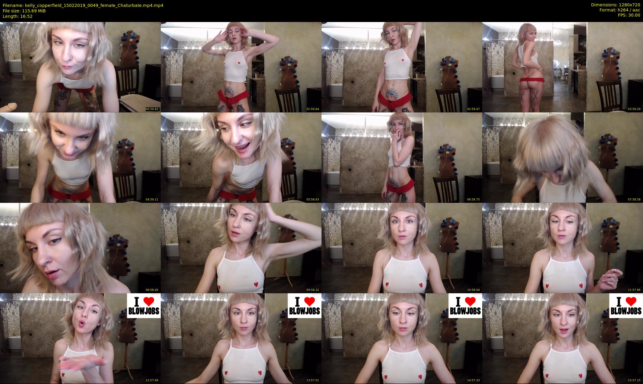 kelly_copperfield — 17 minute Chaturbate female cam show recording, 720p, Feb 15, 2019