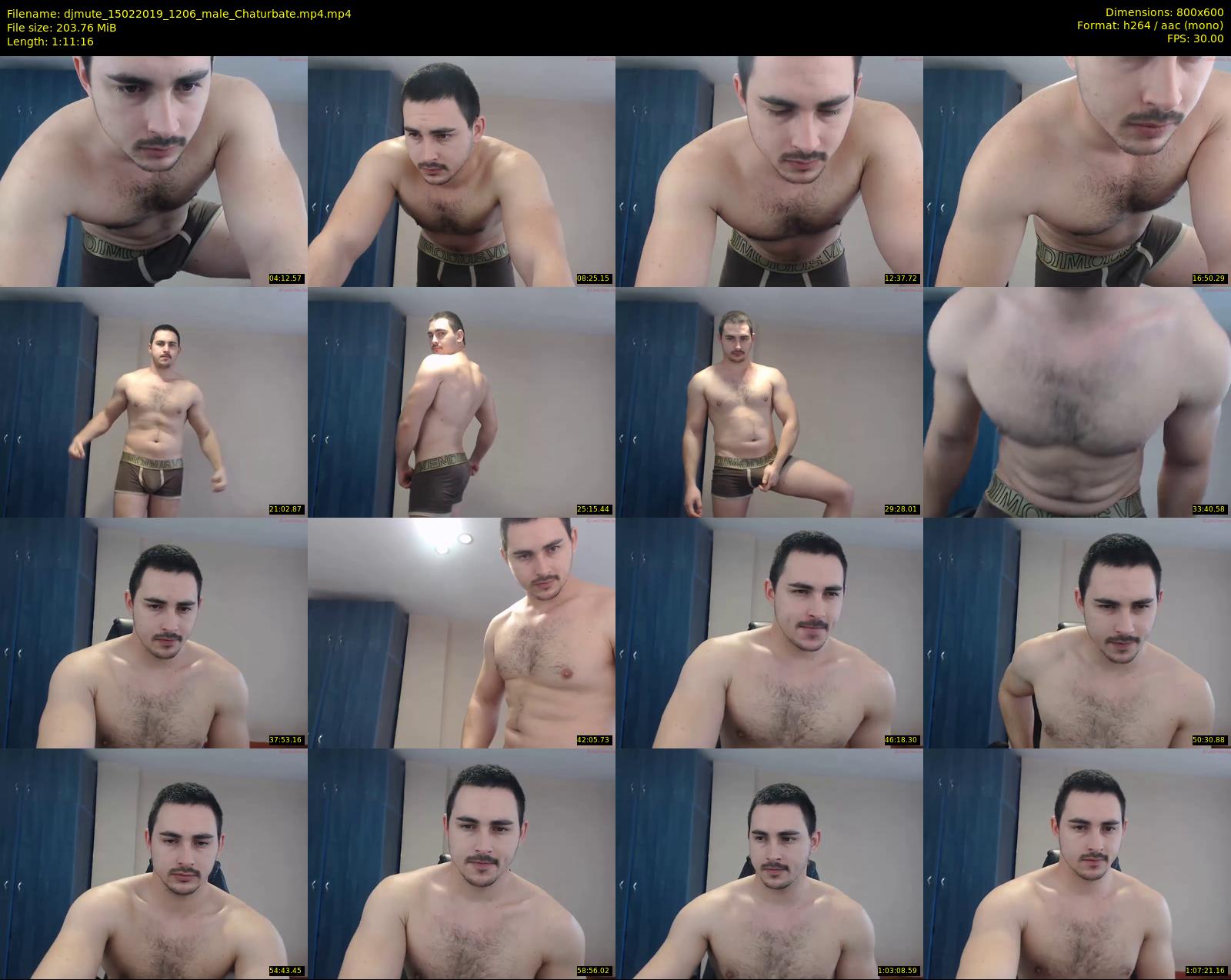 djmute — 72 minute Chaturbate male cam show recording, 480p, Feb 15, 2019