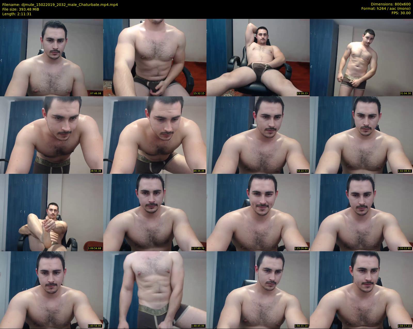 djmute — 132 minute Chaturbate male cam show recording, 480p, Feb 15, 2019