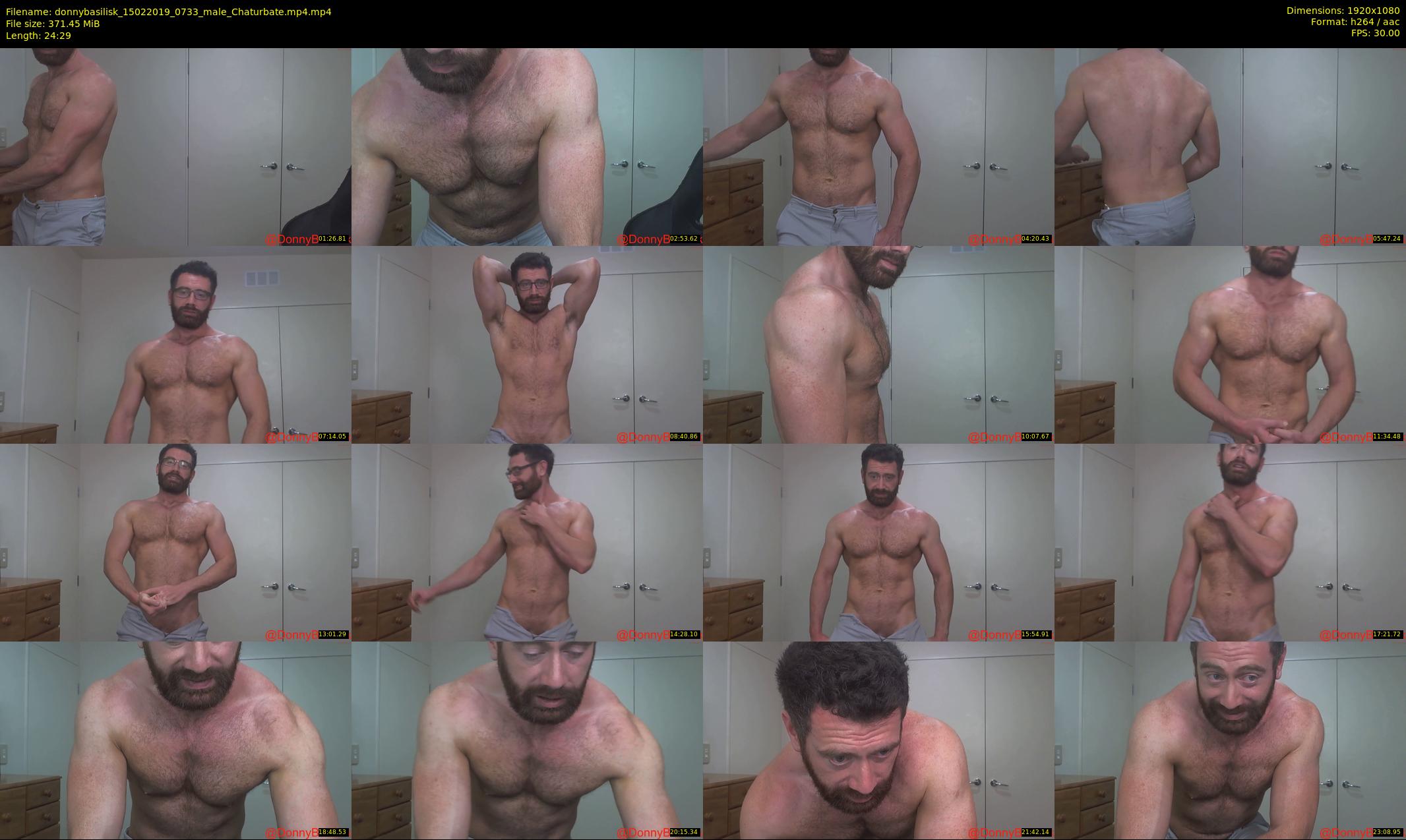 donnybasilisk — 25 minute Chaturbate male cam show recording, 1080p, Feb 15, 2019