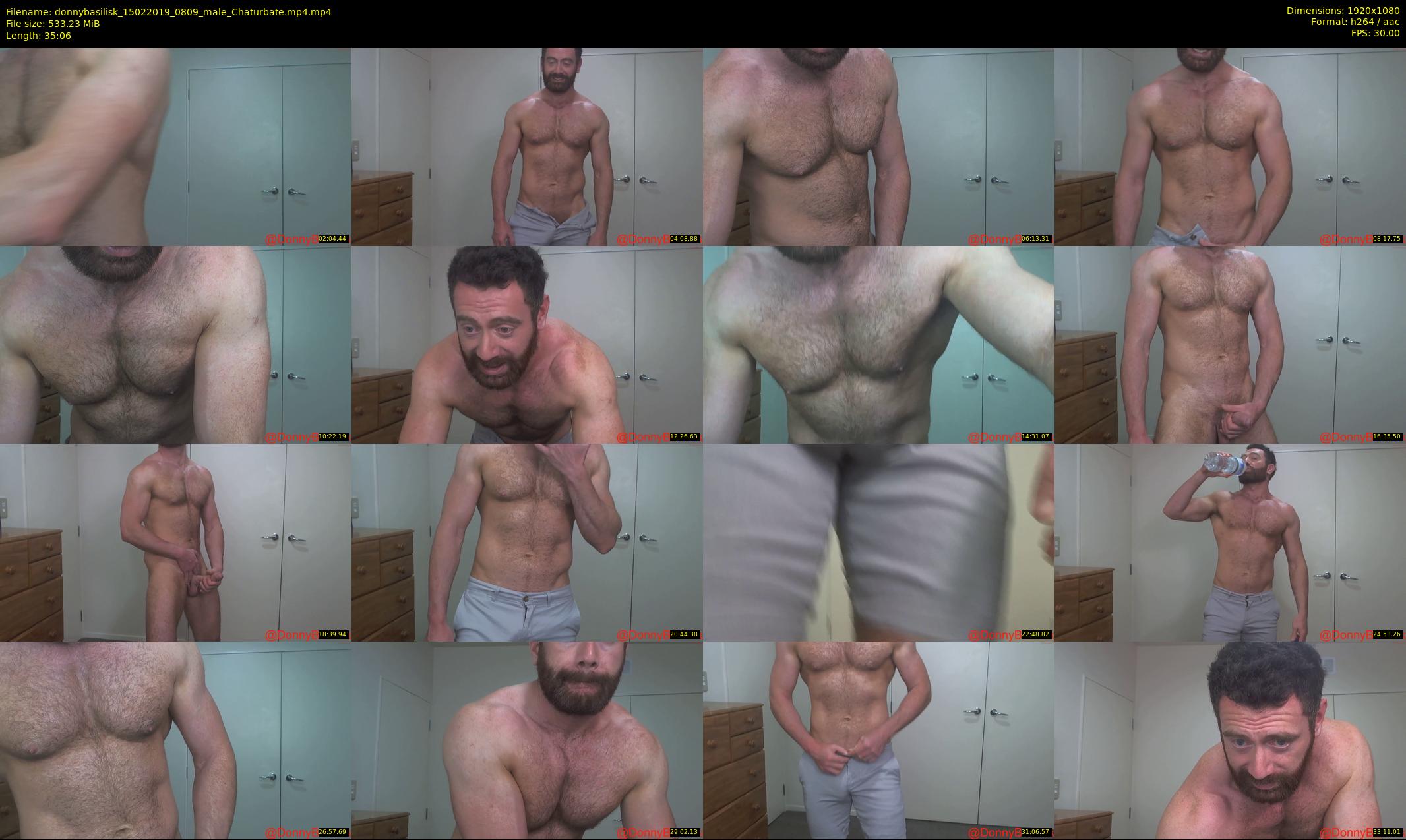 donnybasilisk — 36 minute Chaturbate male cam show recording, 1080p, Feb 15, 2019
