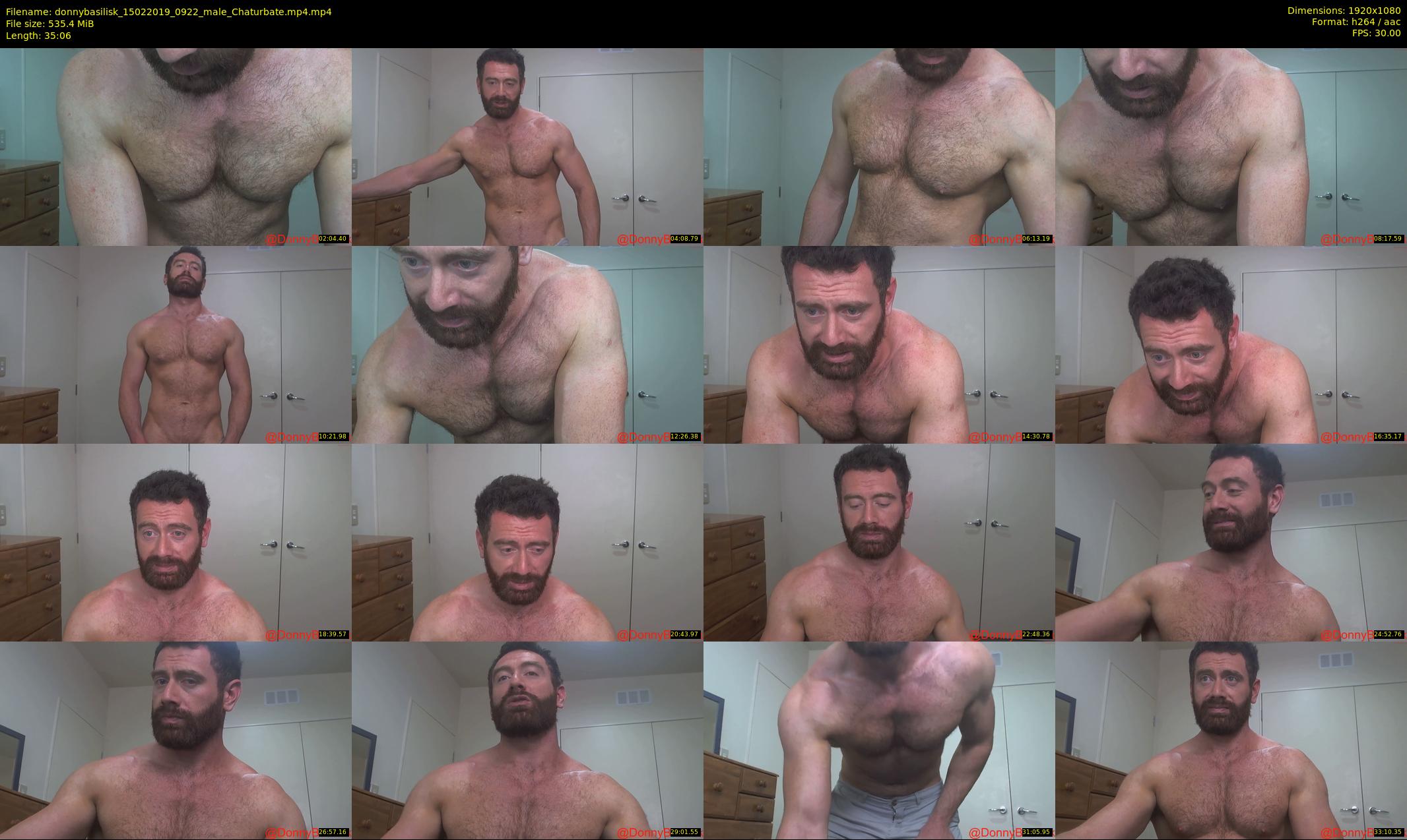 donnybasilisk — 36 minute Chaturbate male cam show recording, 1080p, Feb 15, 2019