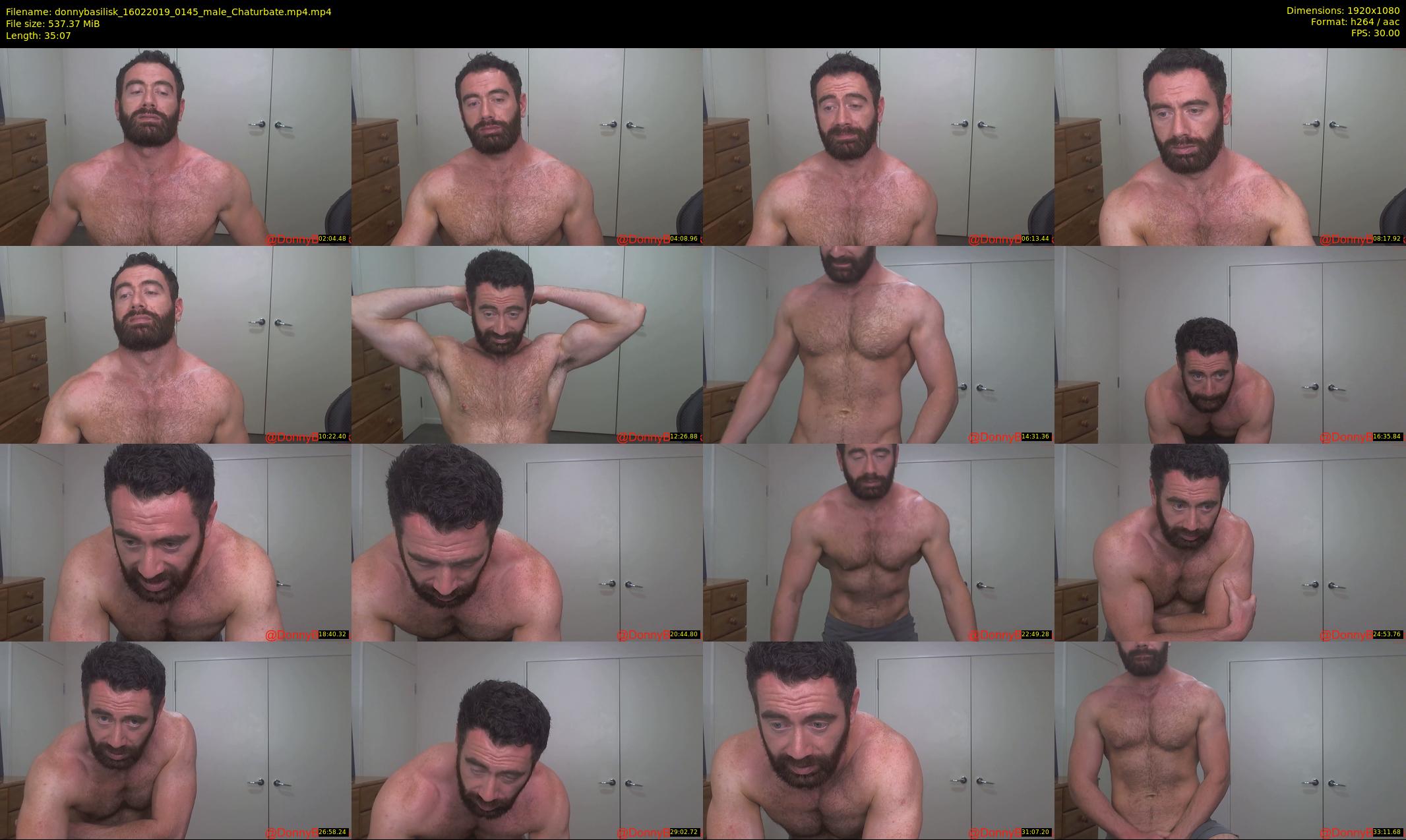 donnybasilisk — 36 minute Chaturbate male cam show recording, 1080p, Feb 16, 2019