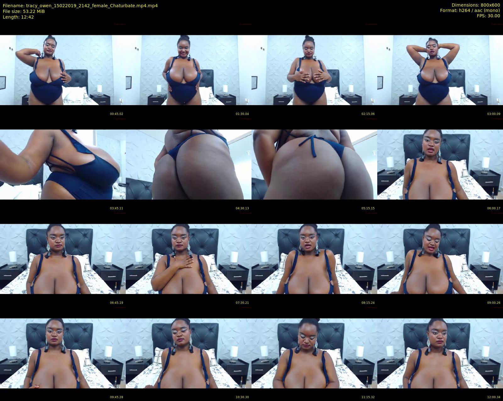 tracy_owen — 13 minute Chaturbate female cam show recording, 480p, Feb 15, 2019